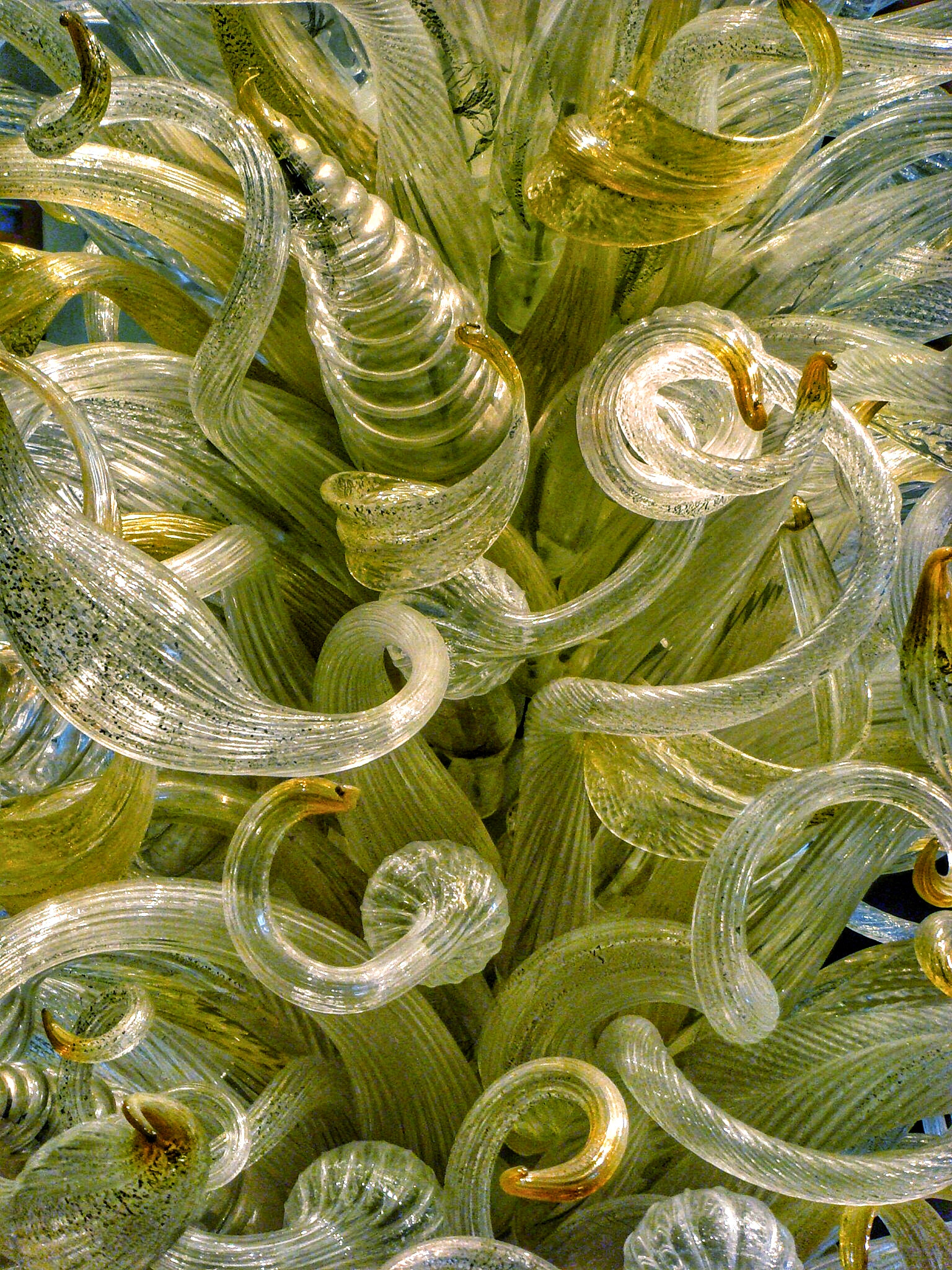 Sony DSC-T100 sample photo. Chihuly glass photography