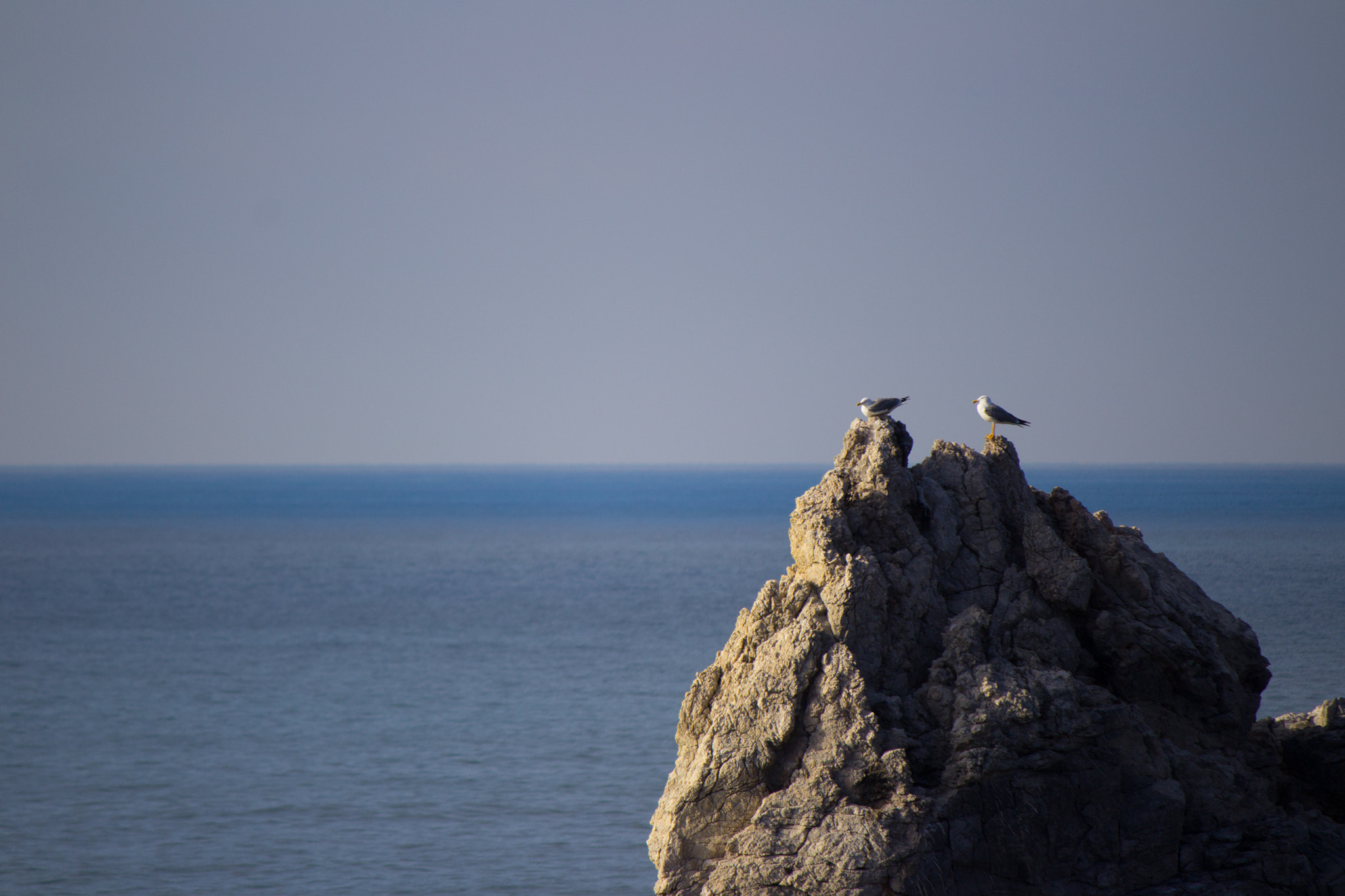 Canon EOS 1200D (EOS Rebel T5 / EOS Kiss X70 / EOS Hi) + Canon EF-S 55-250mm F4-5.6 IS sample photo. Seagulls on the rocks photography