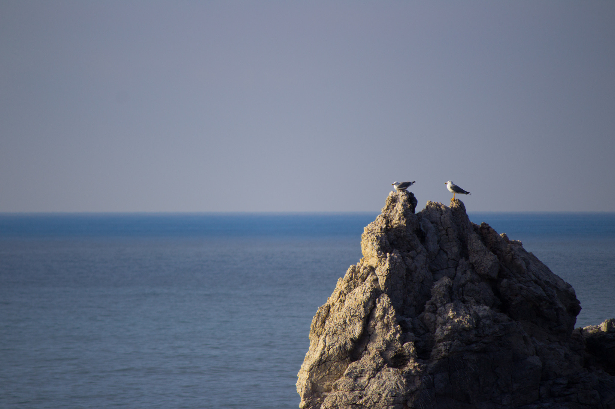 Canon EF-S 55-250mm F4-5.6 IS sample photo. Seagulls on the rocks photography