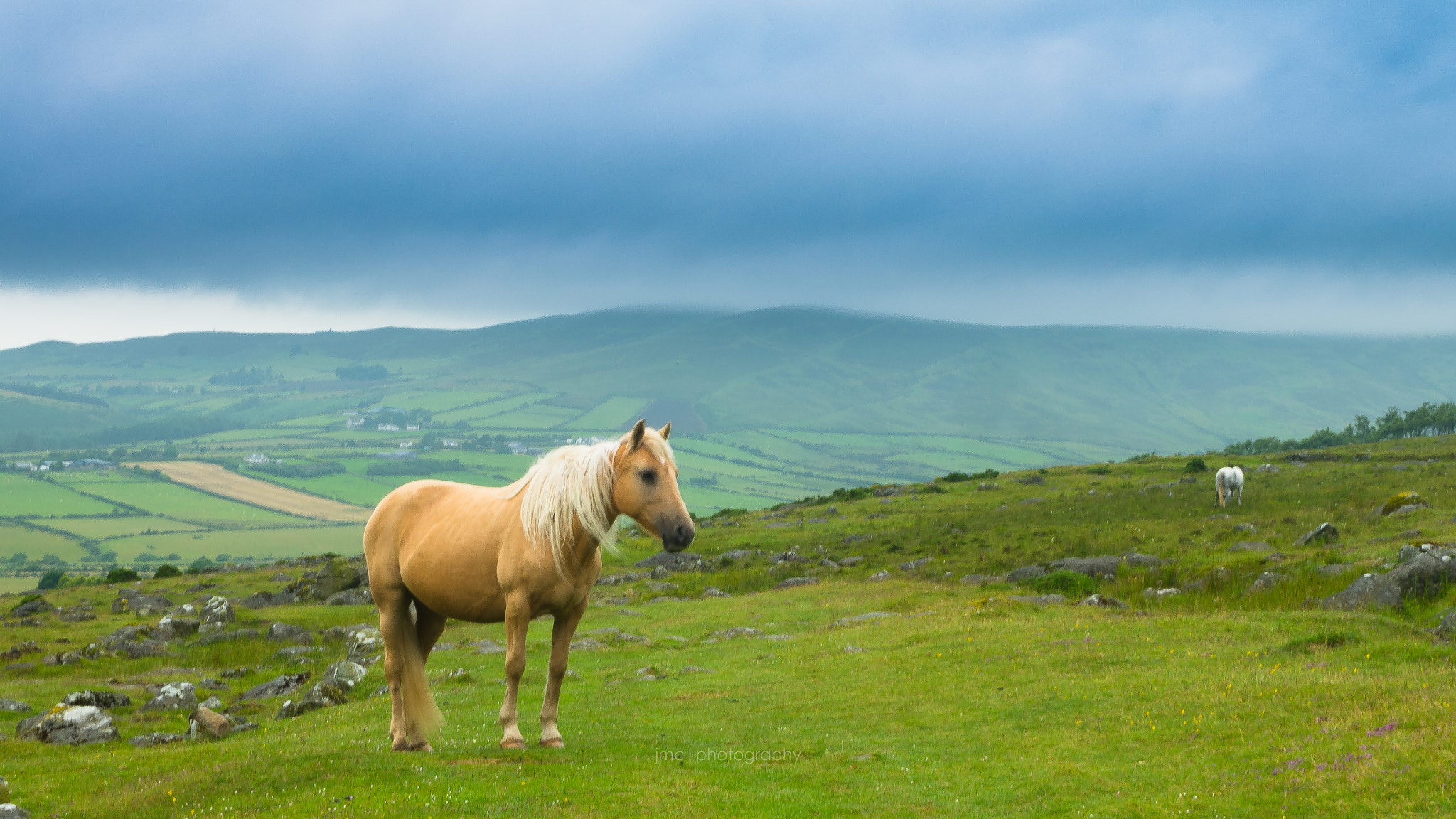 Fujifilm X-A1 sample photo. Soft day in cooley photography