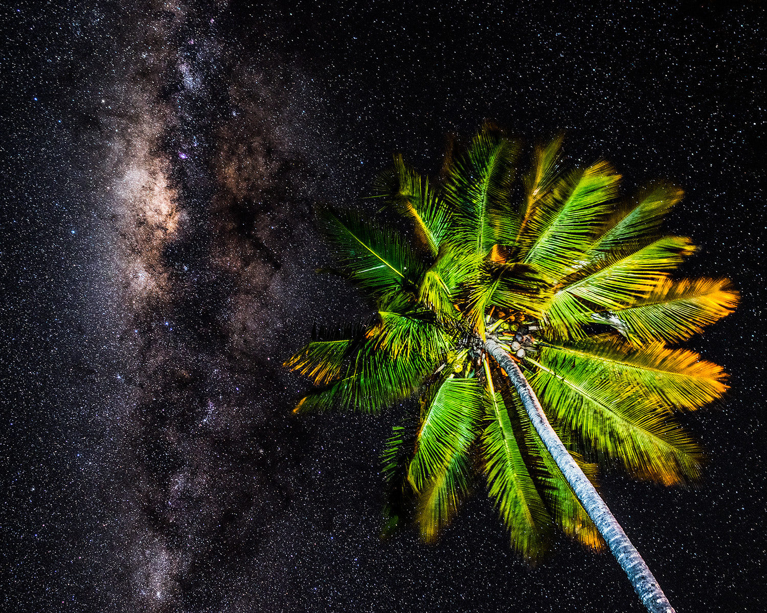 Samyang 12mm F2.8 ED AS NCS Fisheye sample photo. Tropical milky way photography