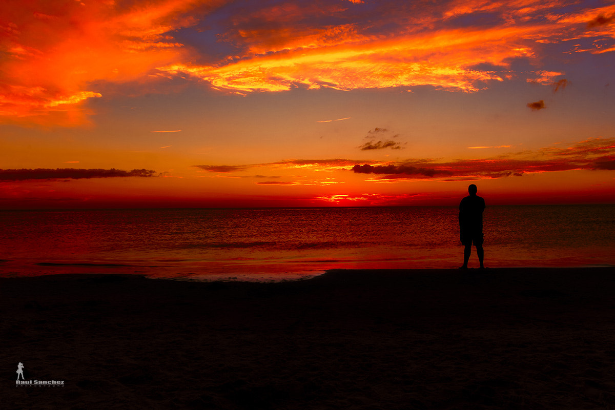 Canon EOS 60D sample photo. Sunset silhouette photography