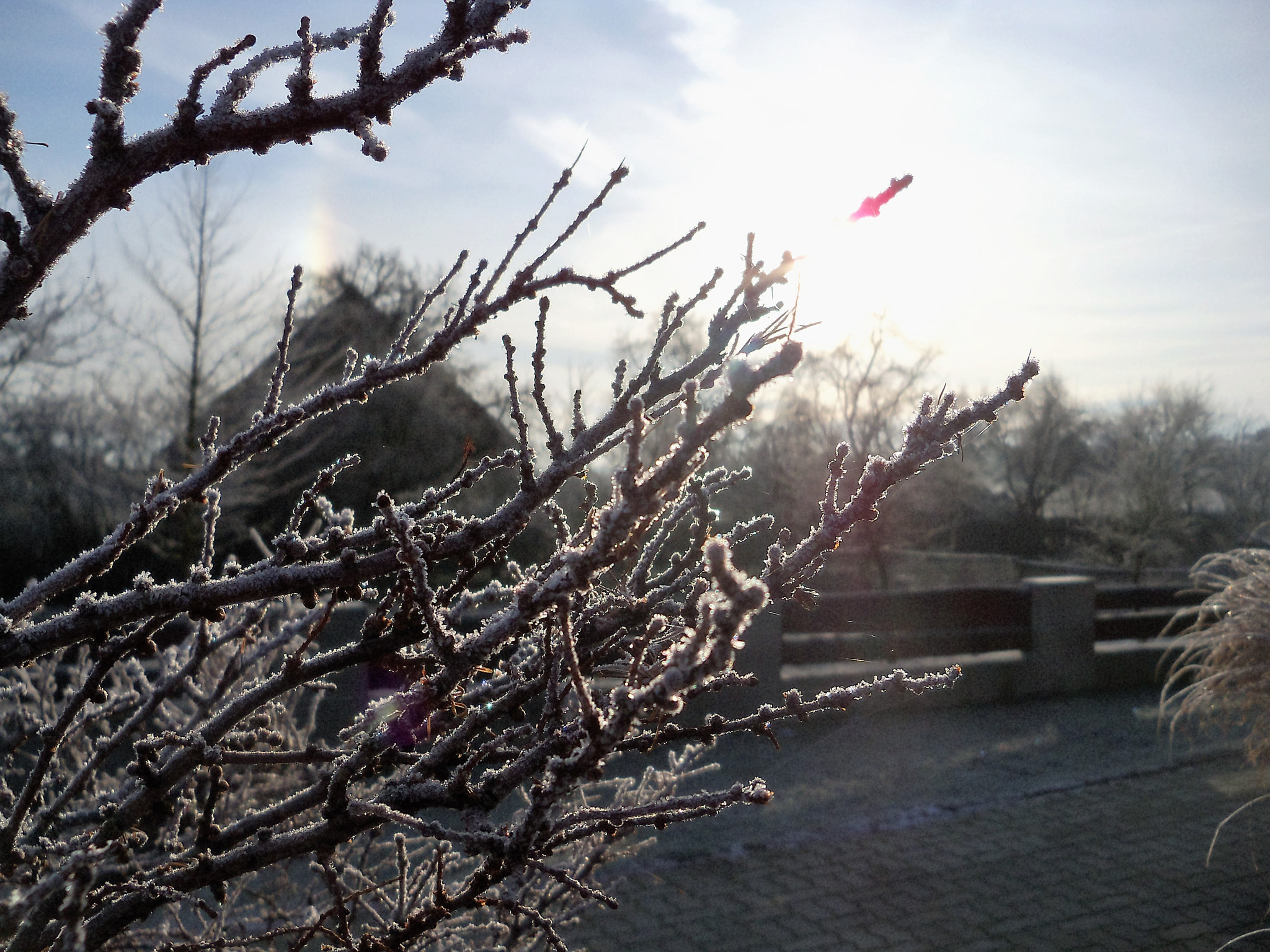 Kodak EasyShare Z915 sample photo. Winter sunrise photography