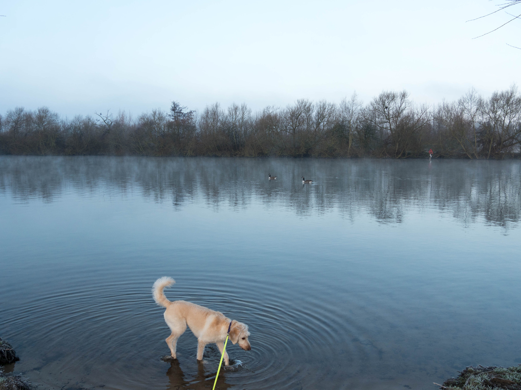 Panasonic Lumix DMC-GH4 sample photo. Walking on the thames photography