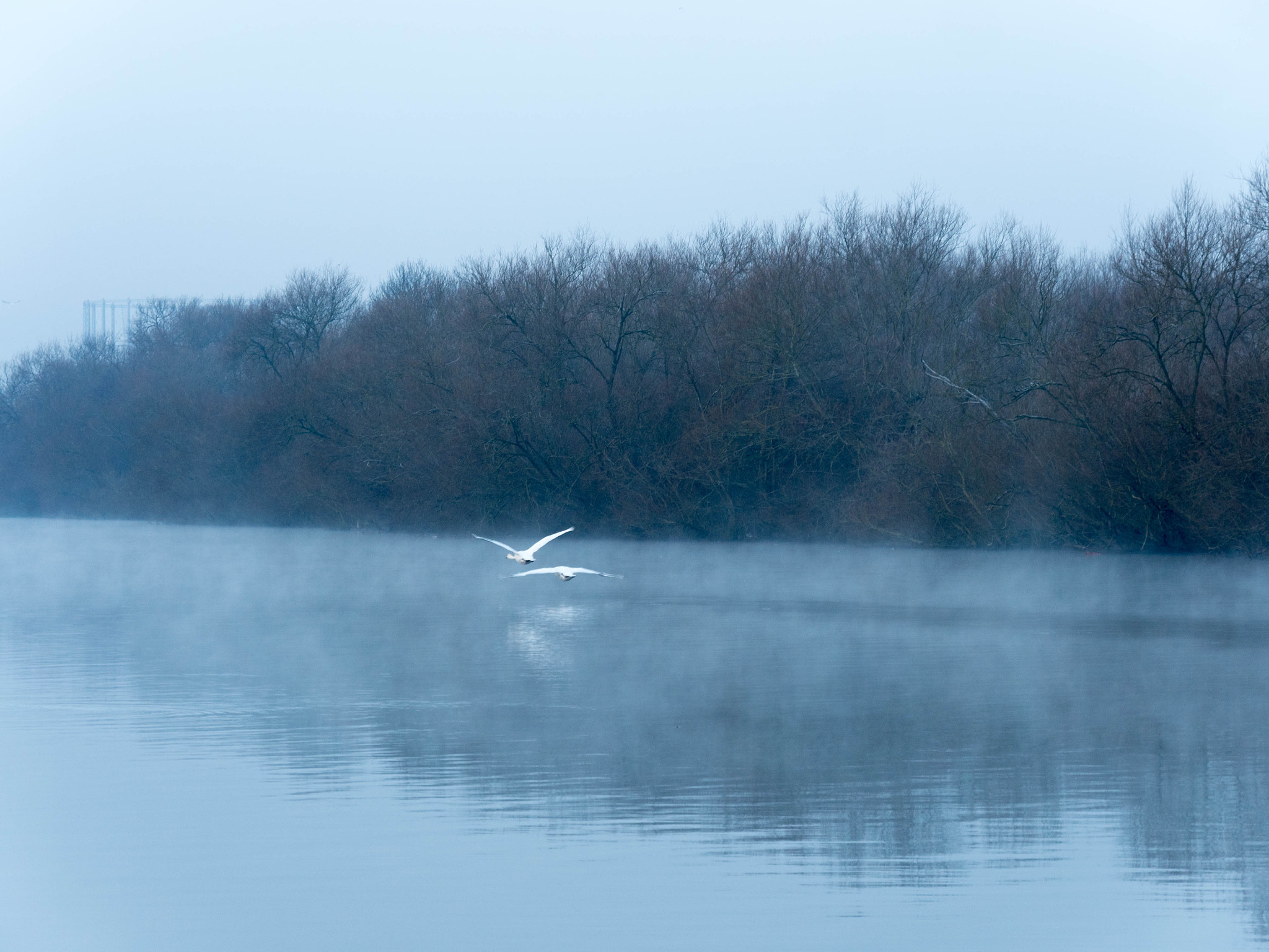 Panasonic Lumix DMC-GH4 sample photo. Walking on the thames photography