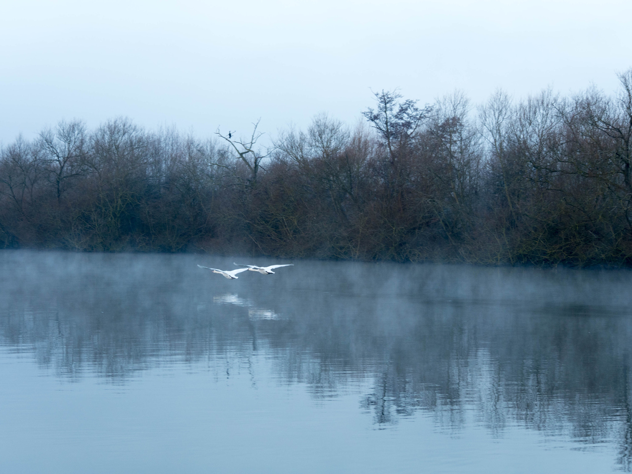 Panasonic Lumix DMC-GH4 sample photo. Walking on the thames photography