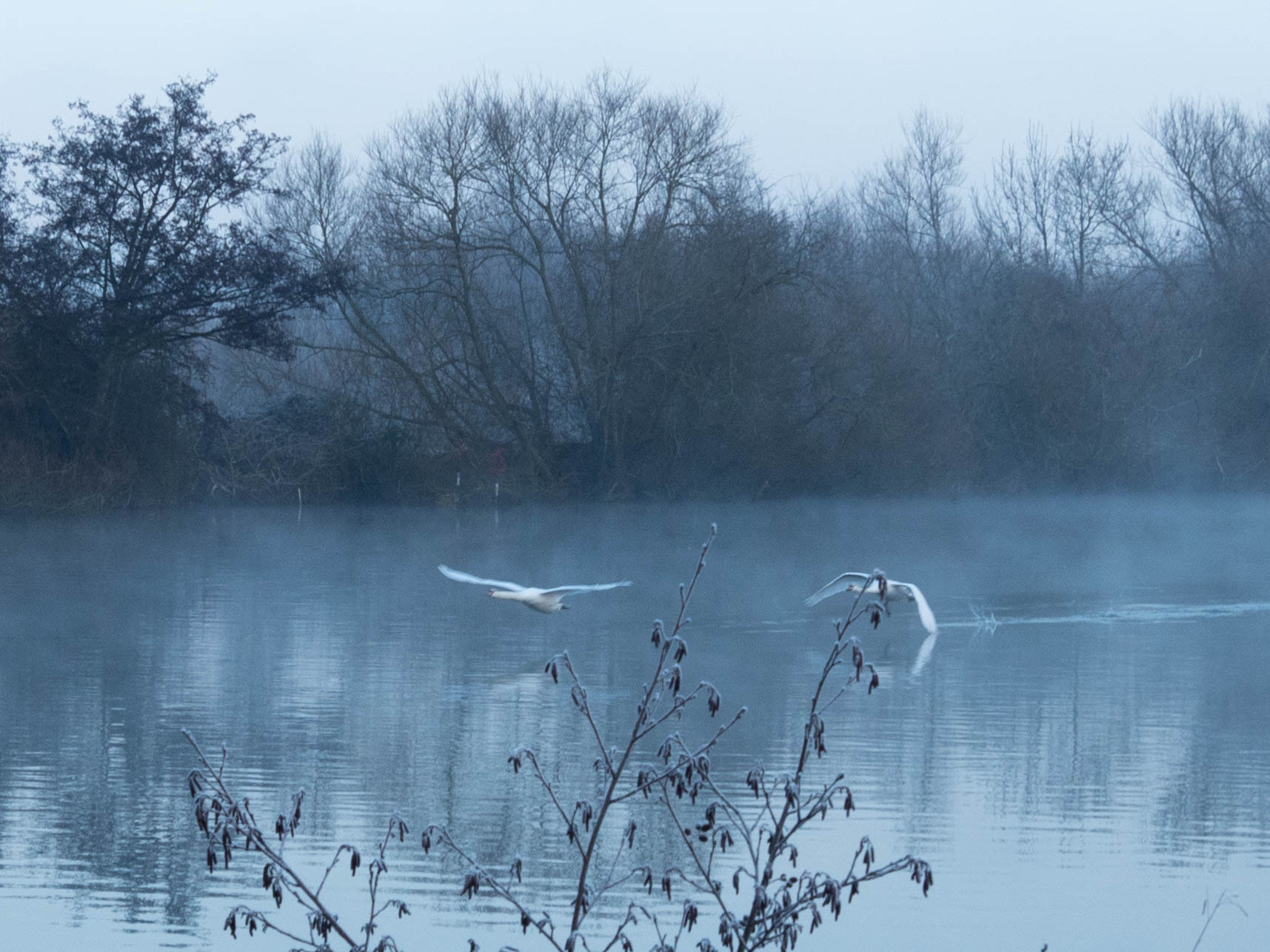 Panasonic Lumix DMC-GH4 sample photo. Walking on the thames photography