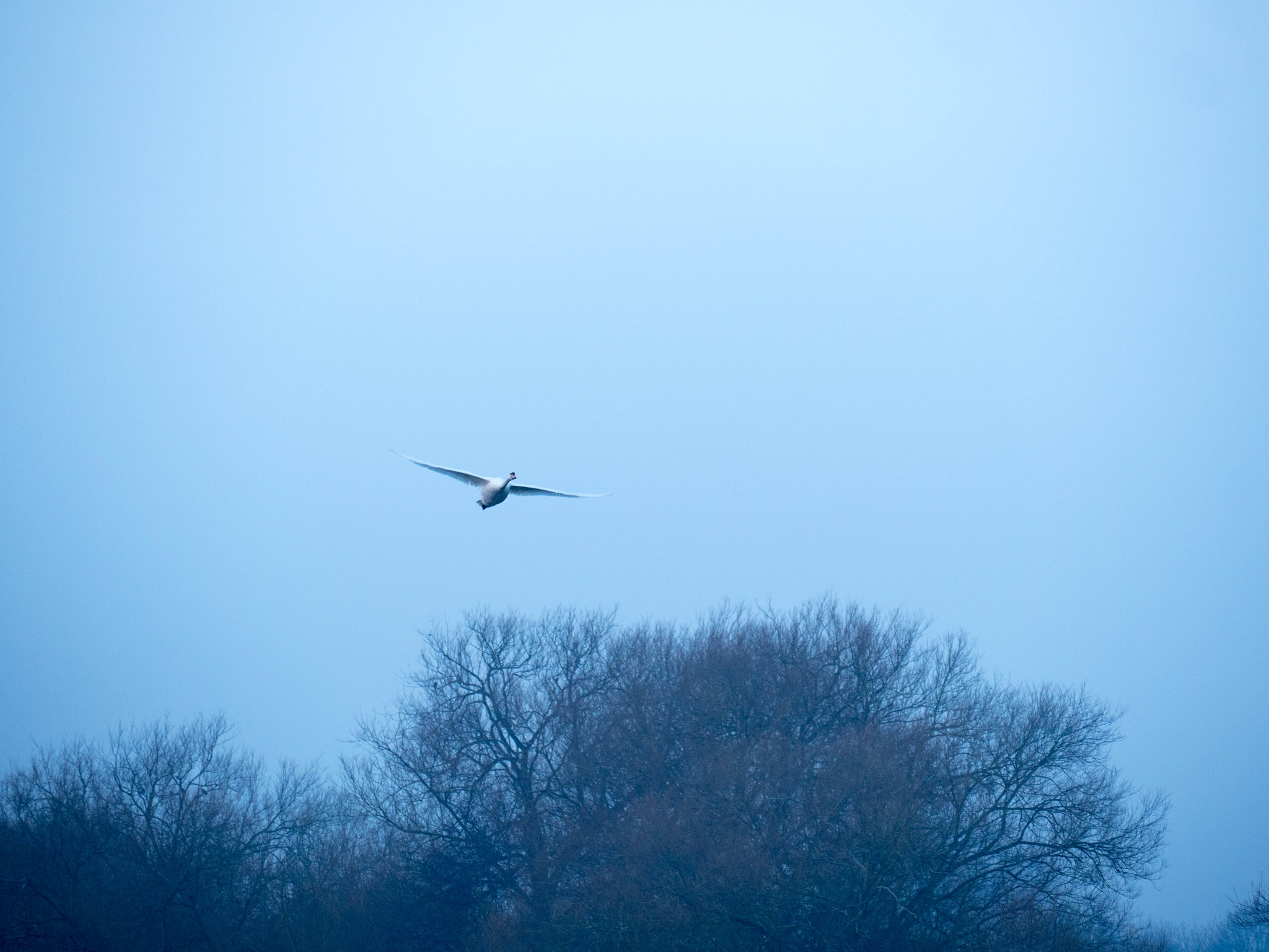 Panasonic Lumix DMC-GH4 sample photo. Walking on the thames photography