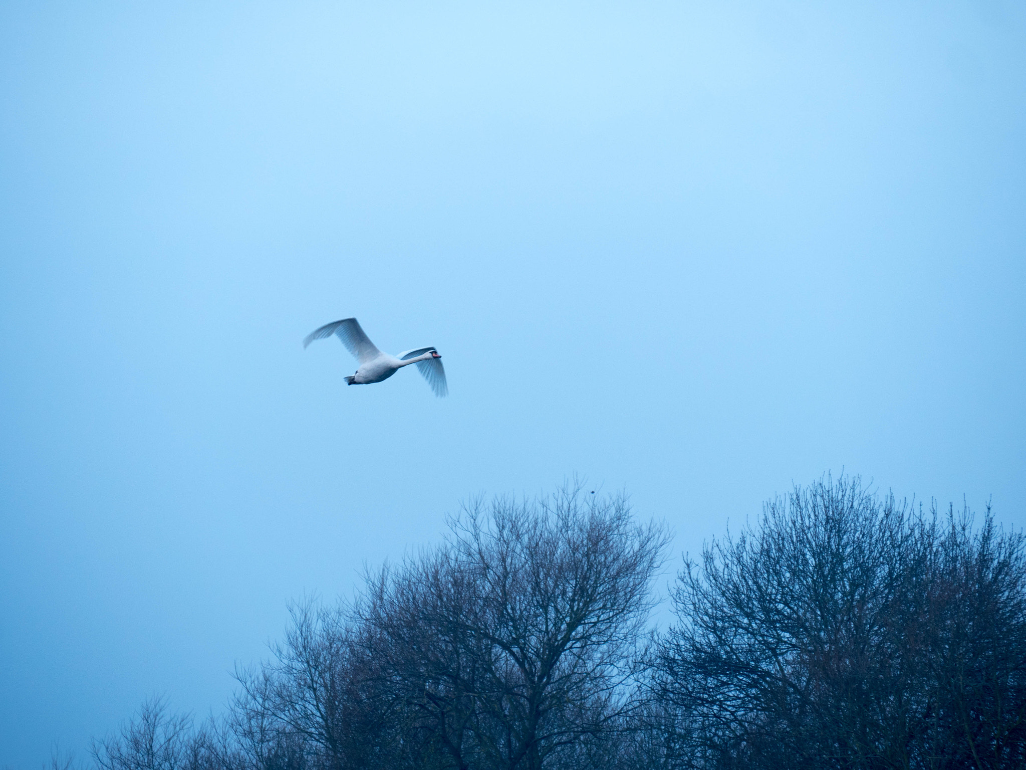 Panasonic Lumix DMC-GH4 sample photo. Walking on the thames photography