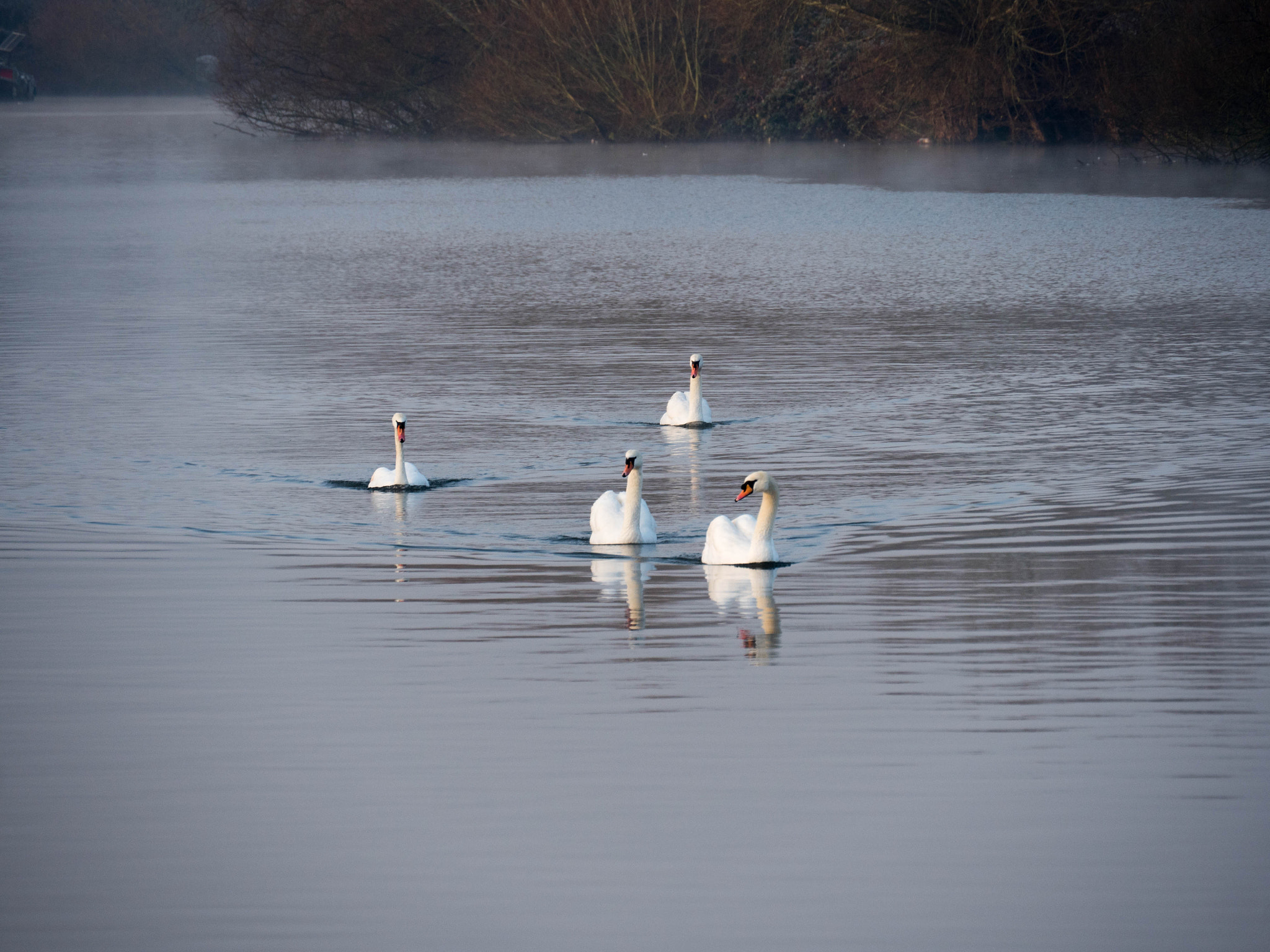 Panasonic Lumix DMC-GH4 sample photo. Walking on the thames photography