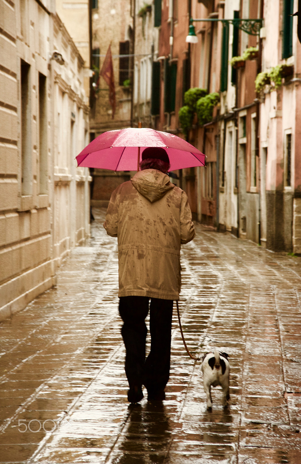 Sigma 18-125mm f/3.5-5.6 DC IF ASP sample photo. Walking in the rain photography