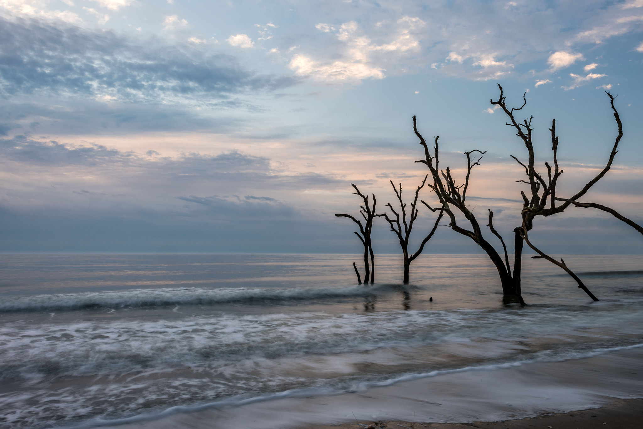 Nikon D810 + Nikon AF-S Nikkor 24mm F1.4G ED sample photo. Folly beach, sc, ghost trees photography