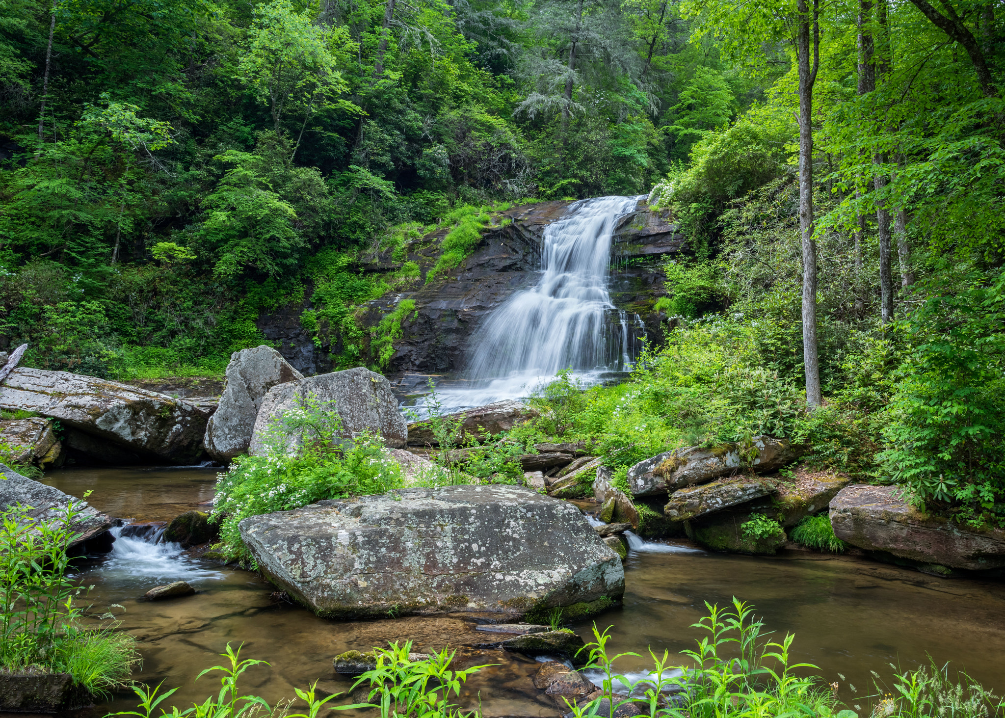 Nikon D810 + Nikon AF-S Nikkor 24mm F1.4G ED sample photo. Glen cannon falls, brevard, nc photography