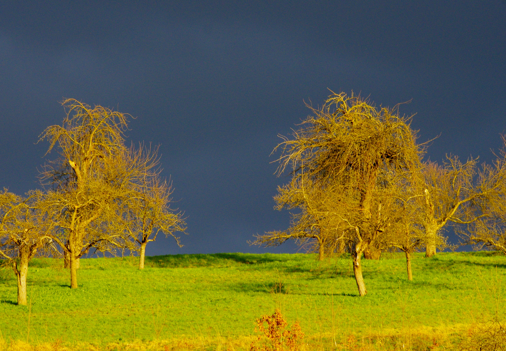 smc PENTAX-DA L 55-300mm F4-5.8 ED sample photo. Last sunshine - a storm is approaching photography