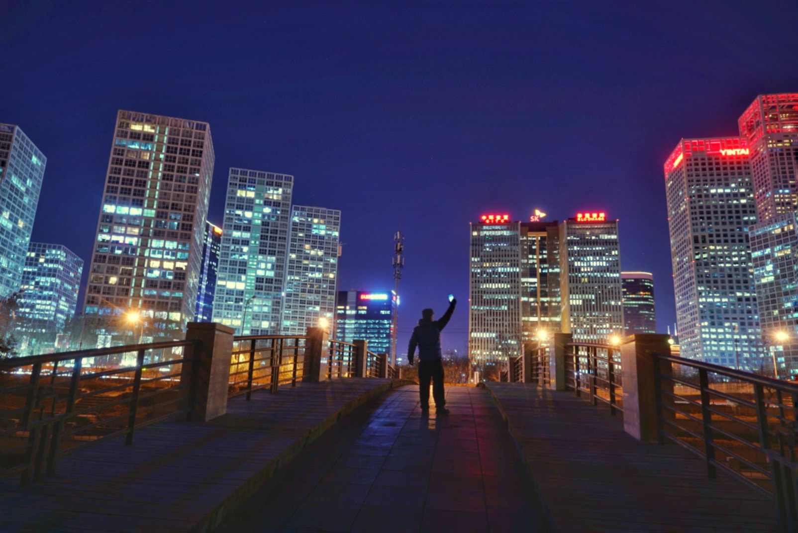 Sony a7R II + Sony Vario Tessar T* FE 24-70mm F4 ZA OSS sample photo. 城市森林 photography