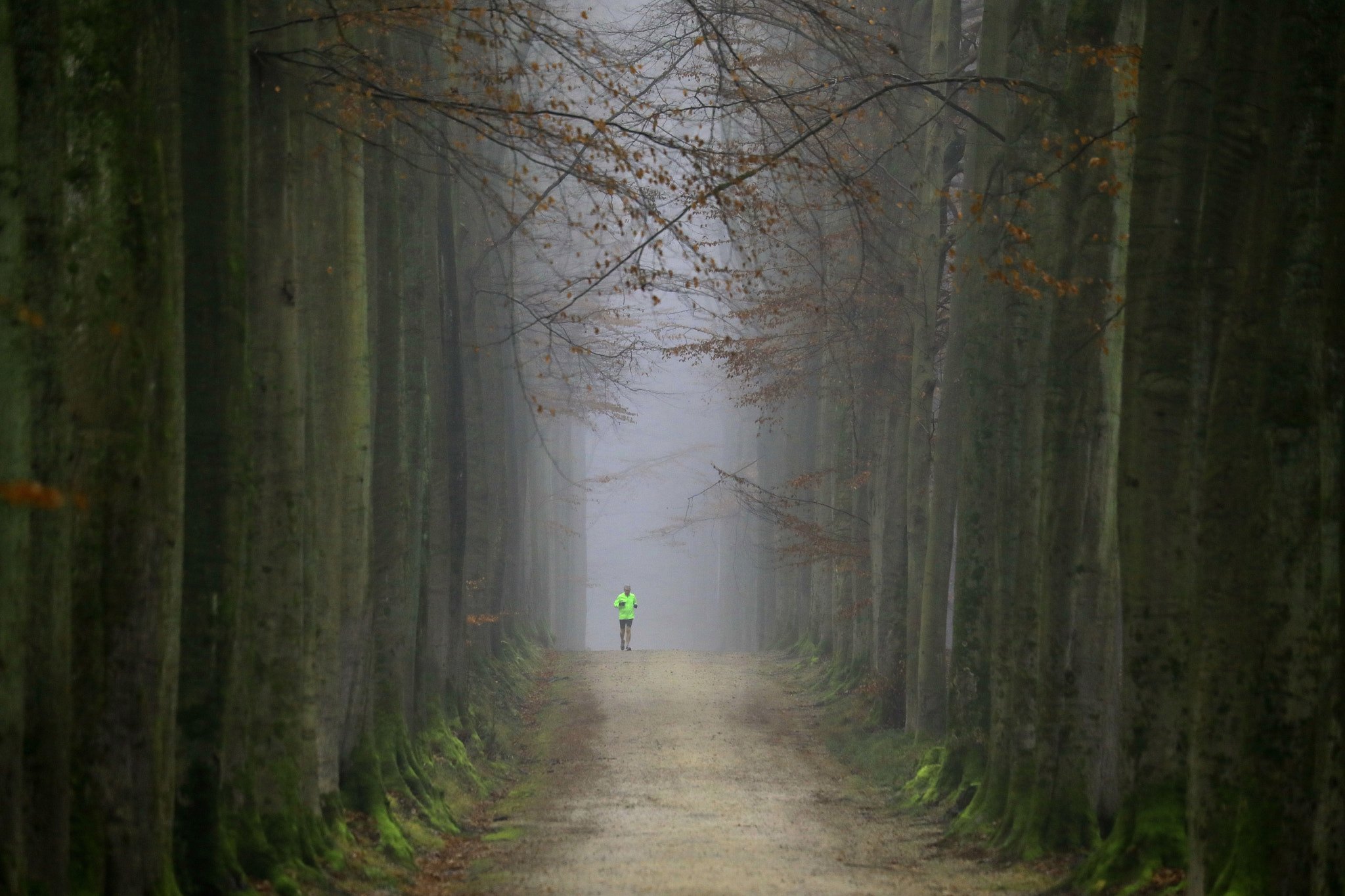 Canon EF 70-300mm F4-5.6L IS USM sample photo. Jogging in the fog photography