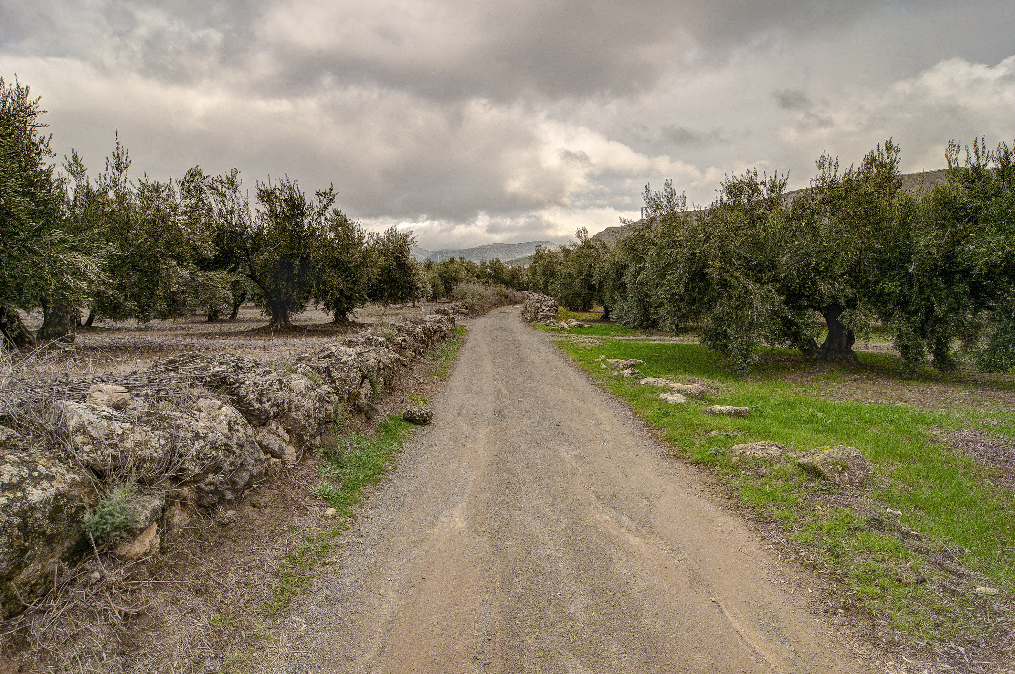 Tokina AT-X Pro 12-24mm F4 (IF) DX sample photo. Una piedra en el camino... photography