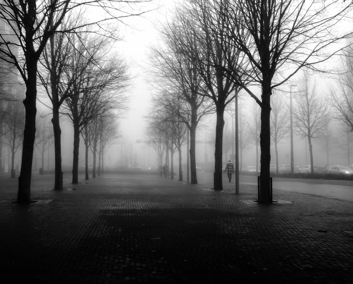 RICOH GR LENS sample photo. In the space of silence photography
