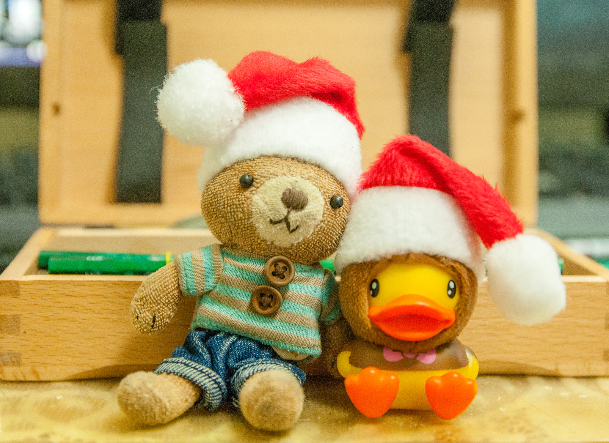 Nikon D300S sample photo. Bear with duck merry christmas photography