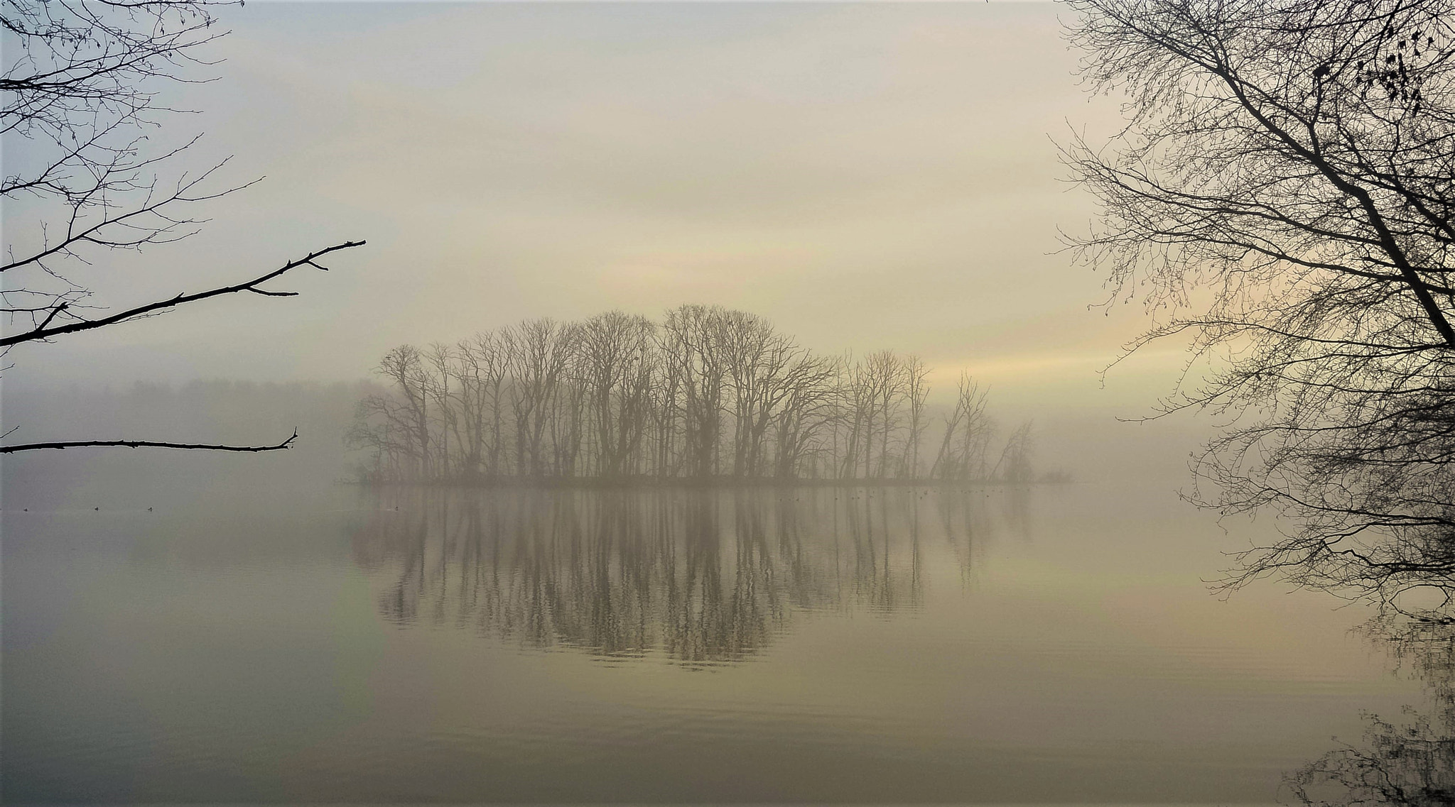 Nikon 1 Nikkor 11-27.5mm F3.5-5.6 sample photo. Bird´s island... photography