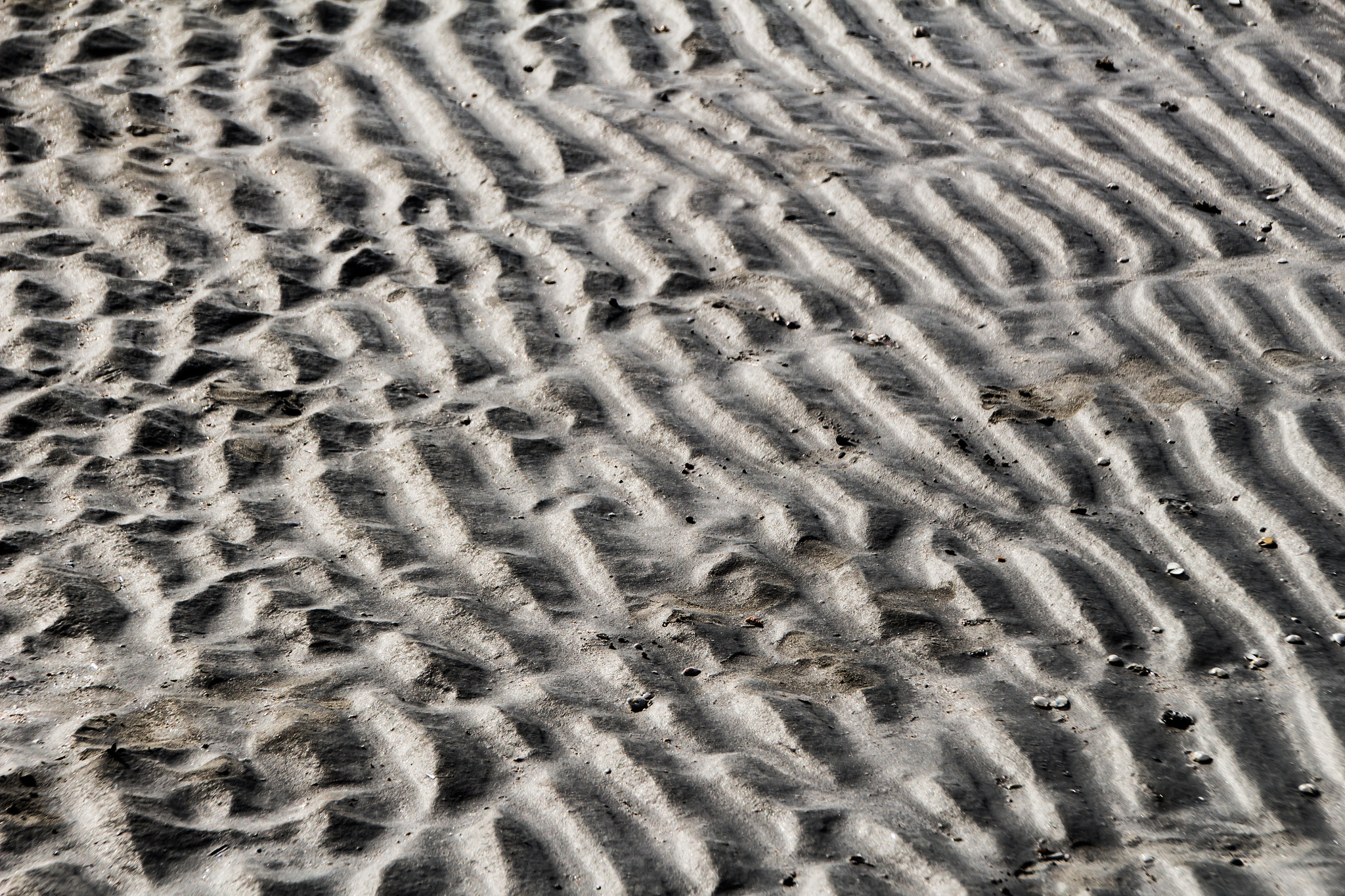 Canon EOS 100D (EOS Rebel SL1 / EOS Kiss X7) sample photo. Waves in the mud photography