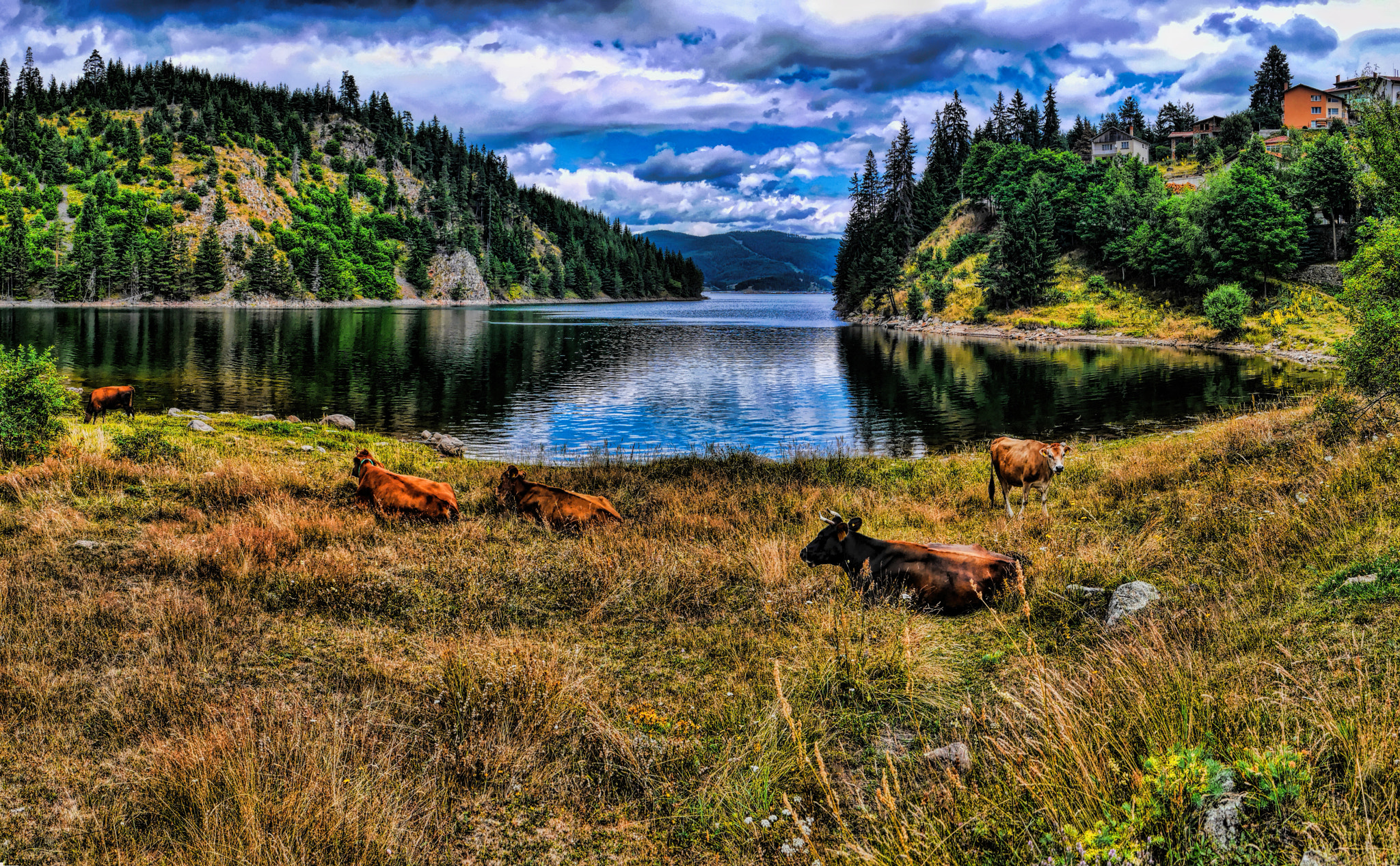Panasonic Lumix DMC-GX7 sample photo. Dospat lake photography