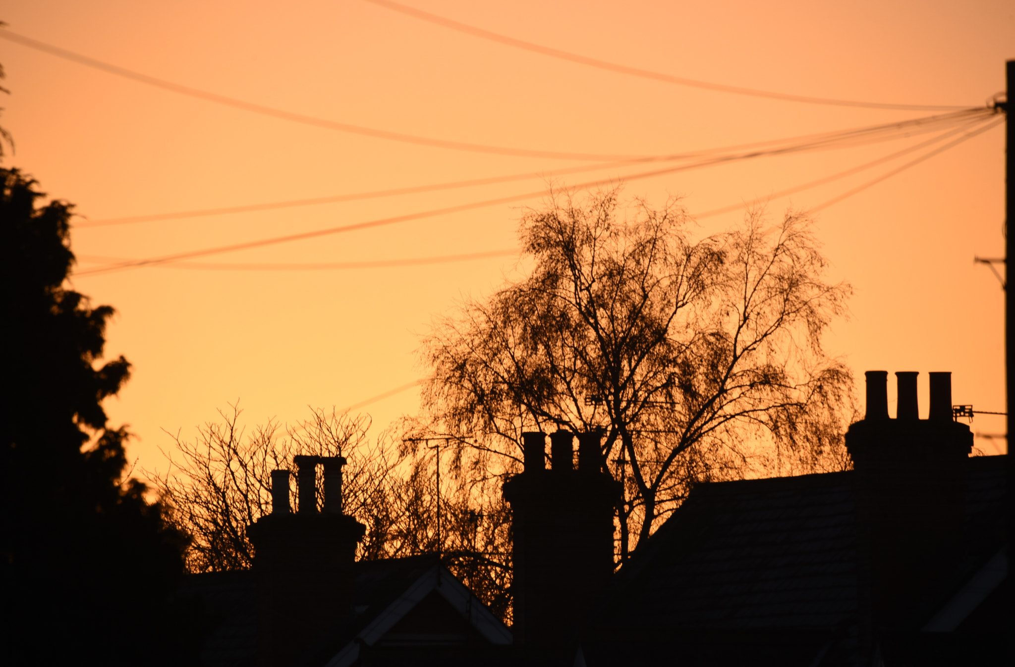 Sigma 50-500mm F4.5-6.3 DG OS HSM sample photo. Camberley 28 december 2016 006 photography