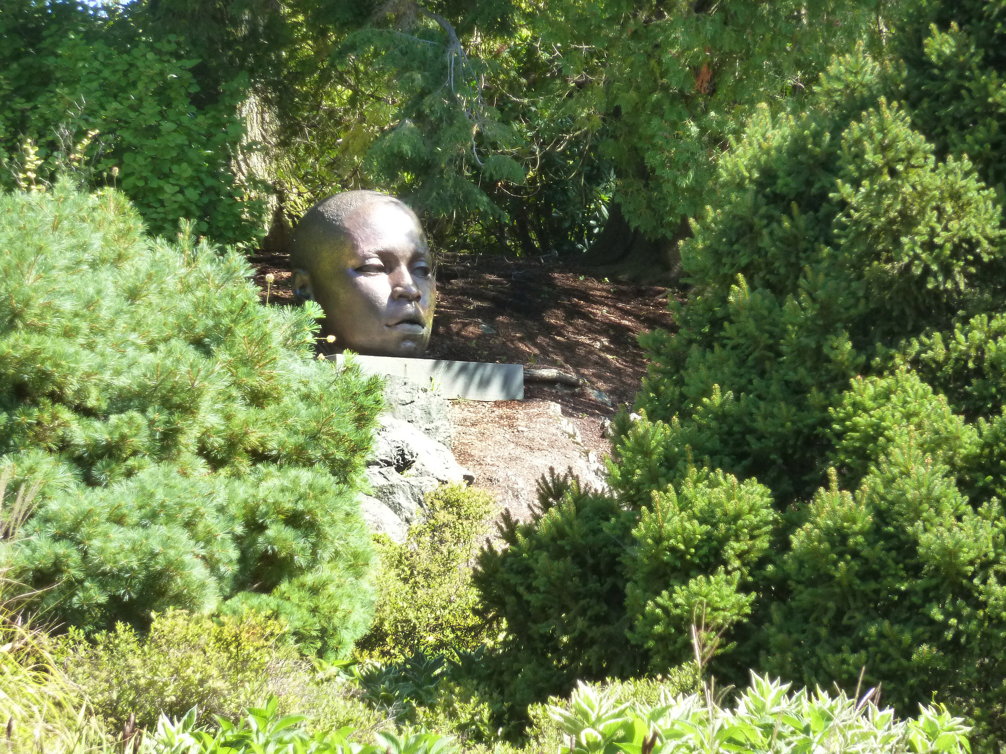 Panasonic Lumix DMC-ZS5 (Lumix DMC-TZ8) sample photo. John wilson's eternal presence  1987 photography