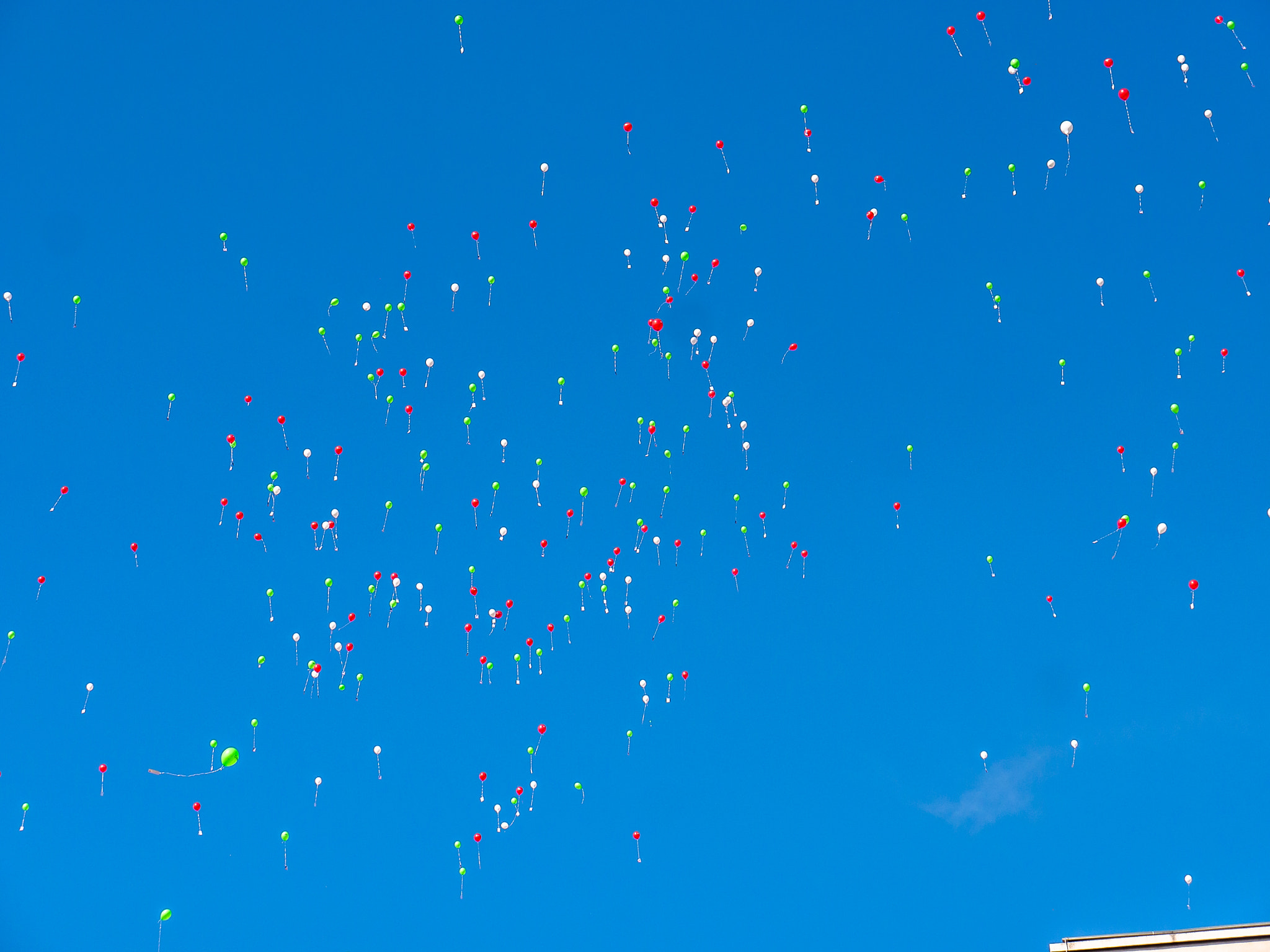 Panasonic Lumix DMC-G5 sample photo. 99 luftballons photography