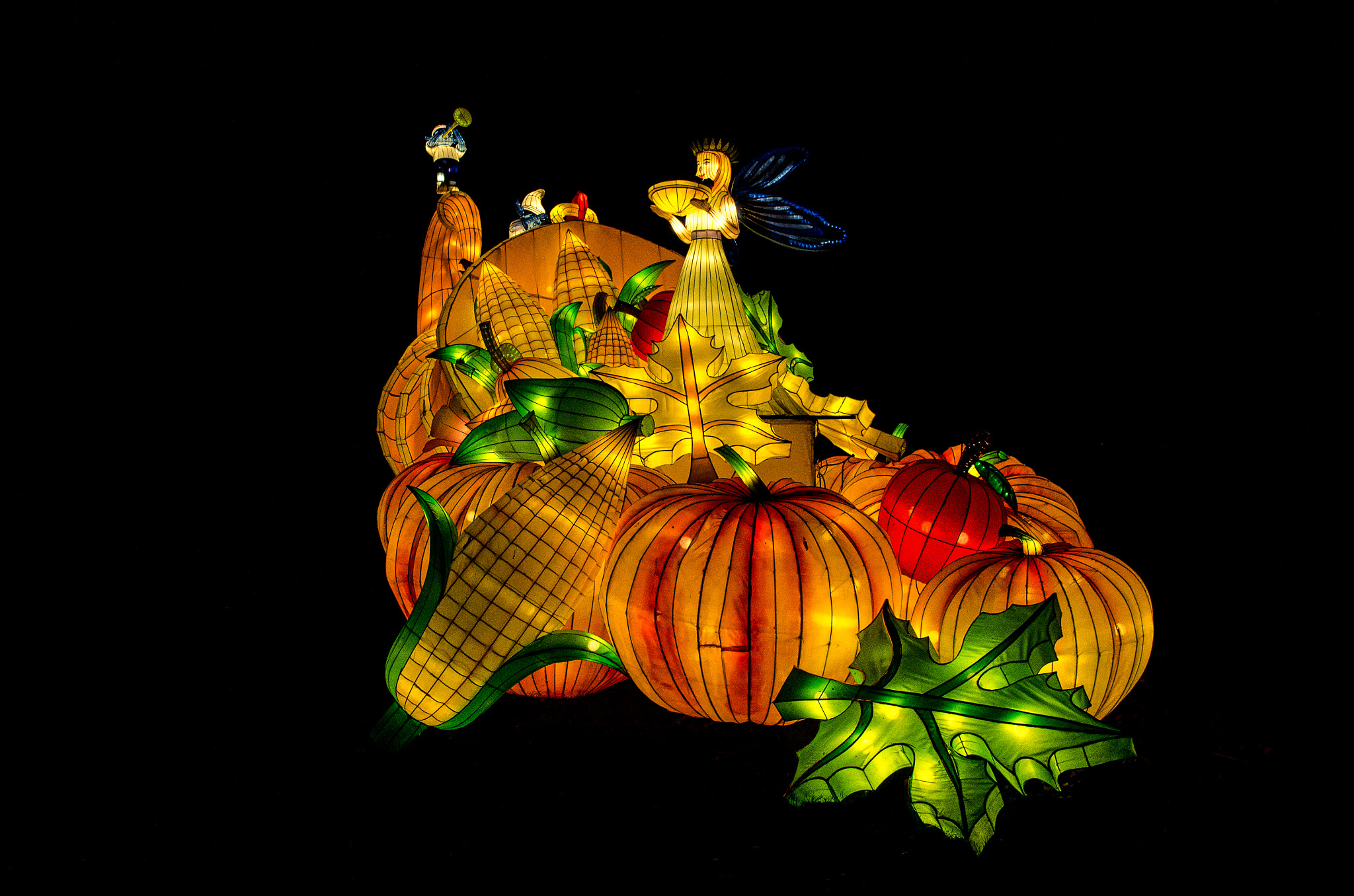Sigma 18-125mm F3.8-5.6 DC HSM sample photo. Magical lanterns ii photography