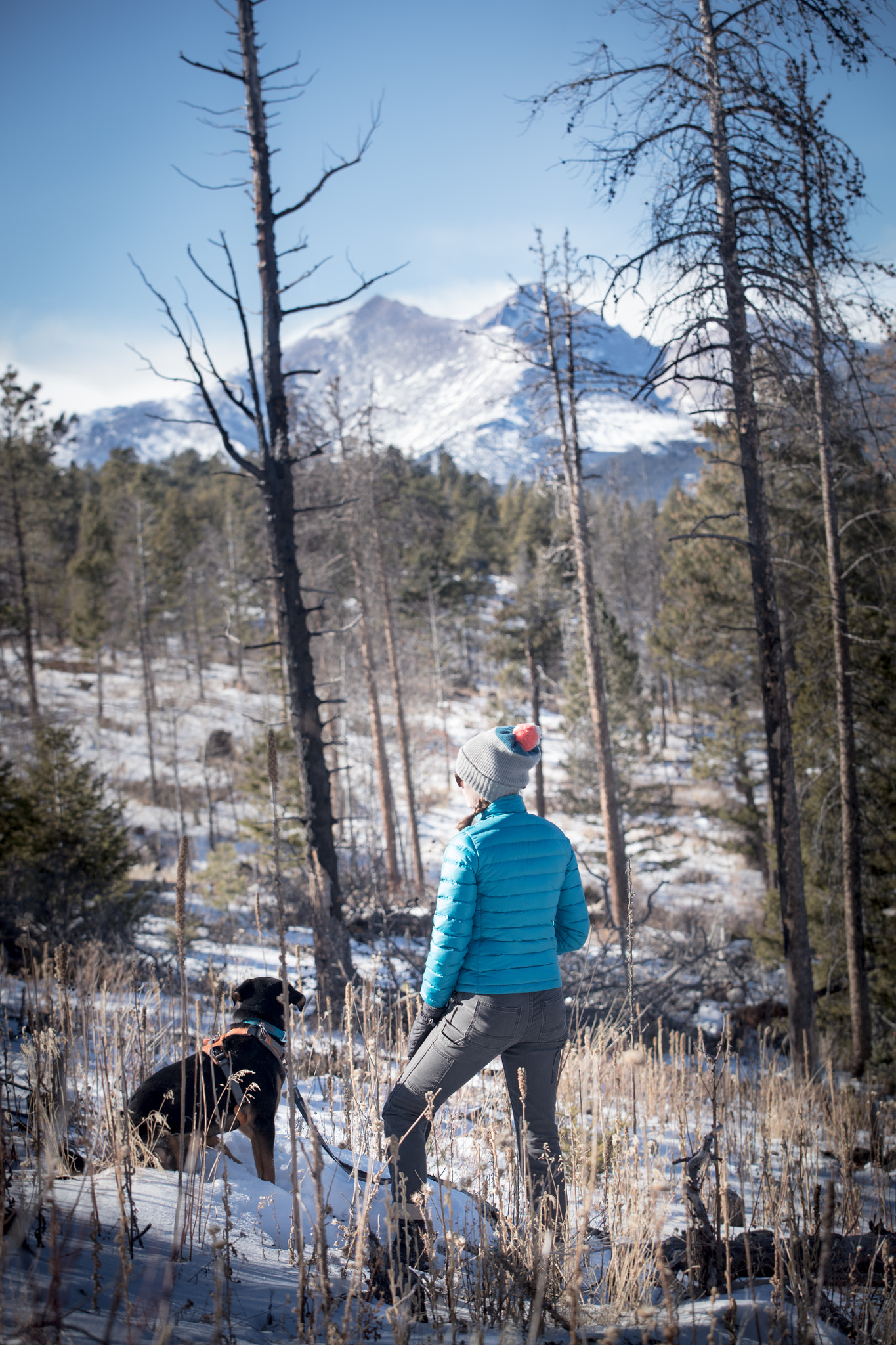 Canon EOS 5DS R + Canon EF 70-200mm F2.8L USM sample photo. A women and her dog hiking the rockies photography
