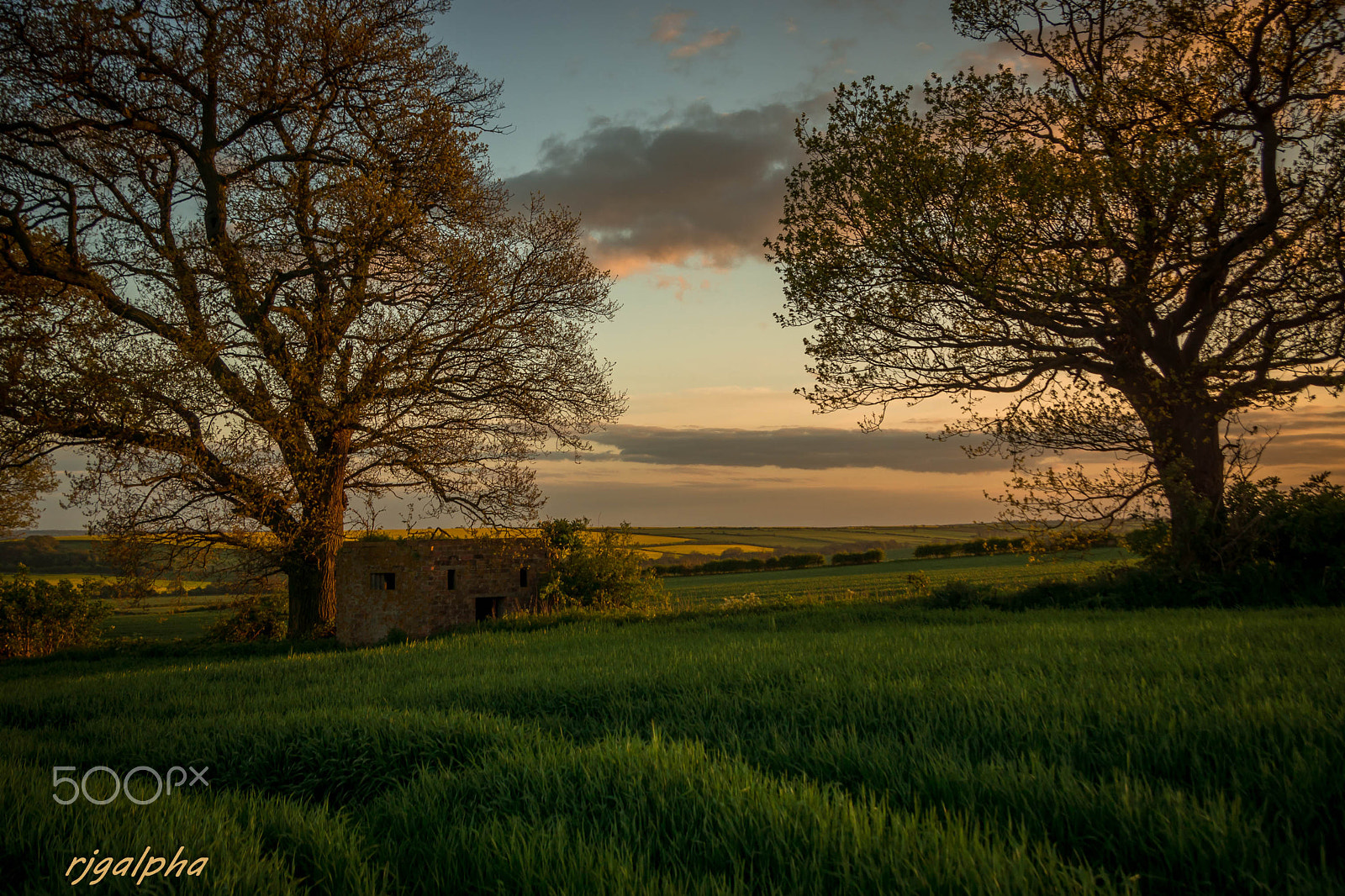 Sony SLT-A77 sample photo. Pill box view photography