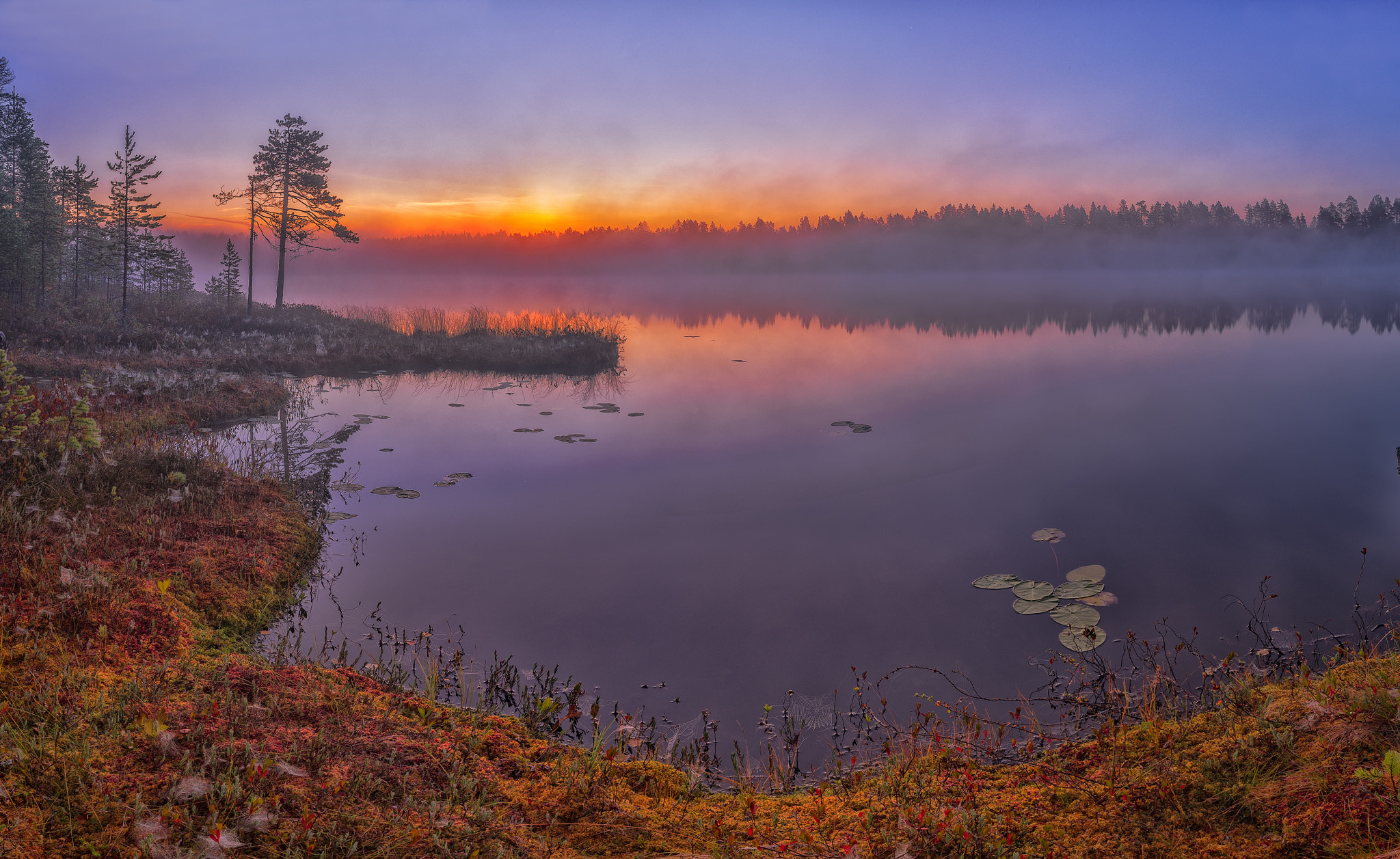 Pentax smc DA 15mm F4 ED AL Limited sample photo. Рассвет photography