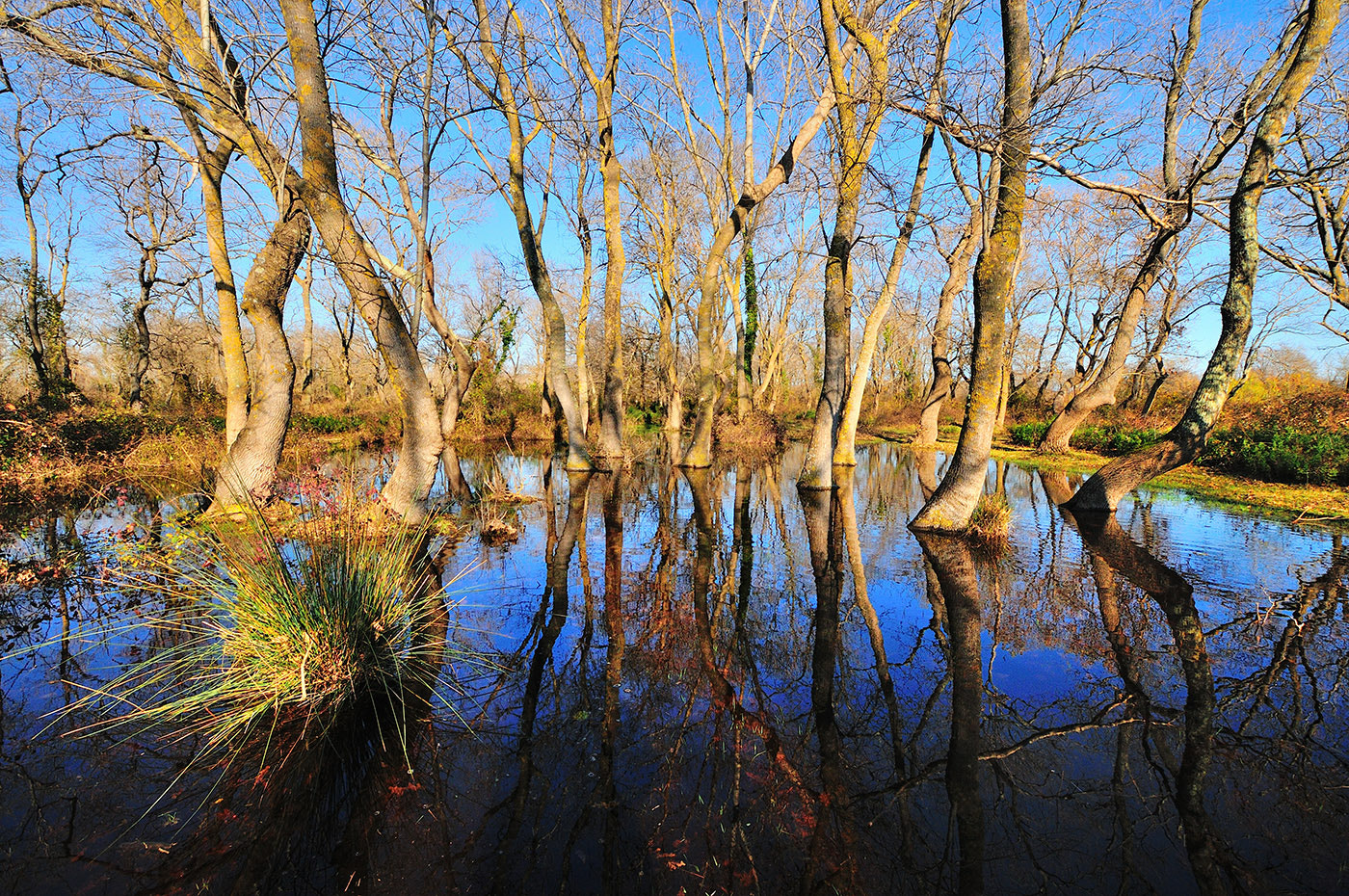 Nikon D300 + Sigma 10-20mm F3.5 EX DC HSM sample photo. Galeric photography