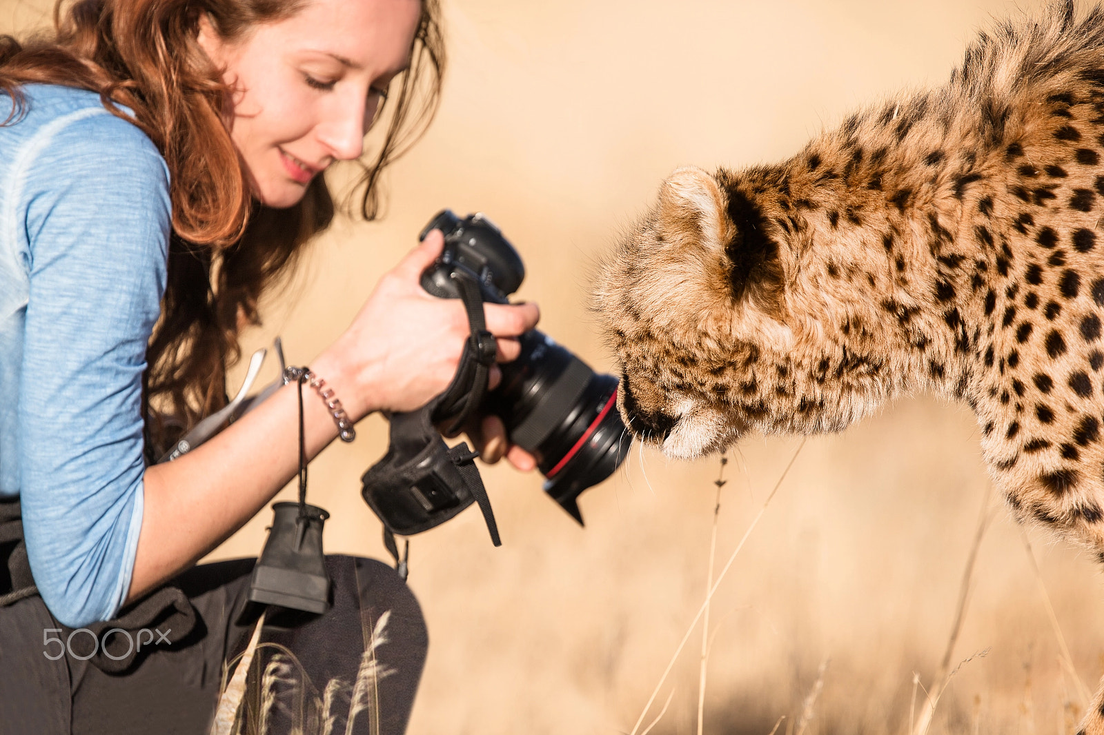 Canon EF 400mm F4.0 DO IS USM sample photo. Photographer in action - wildlife photography