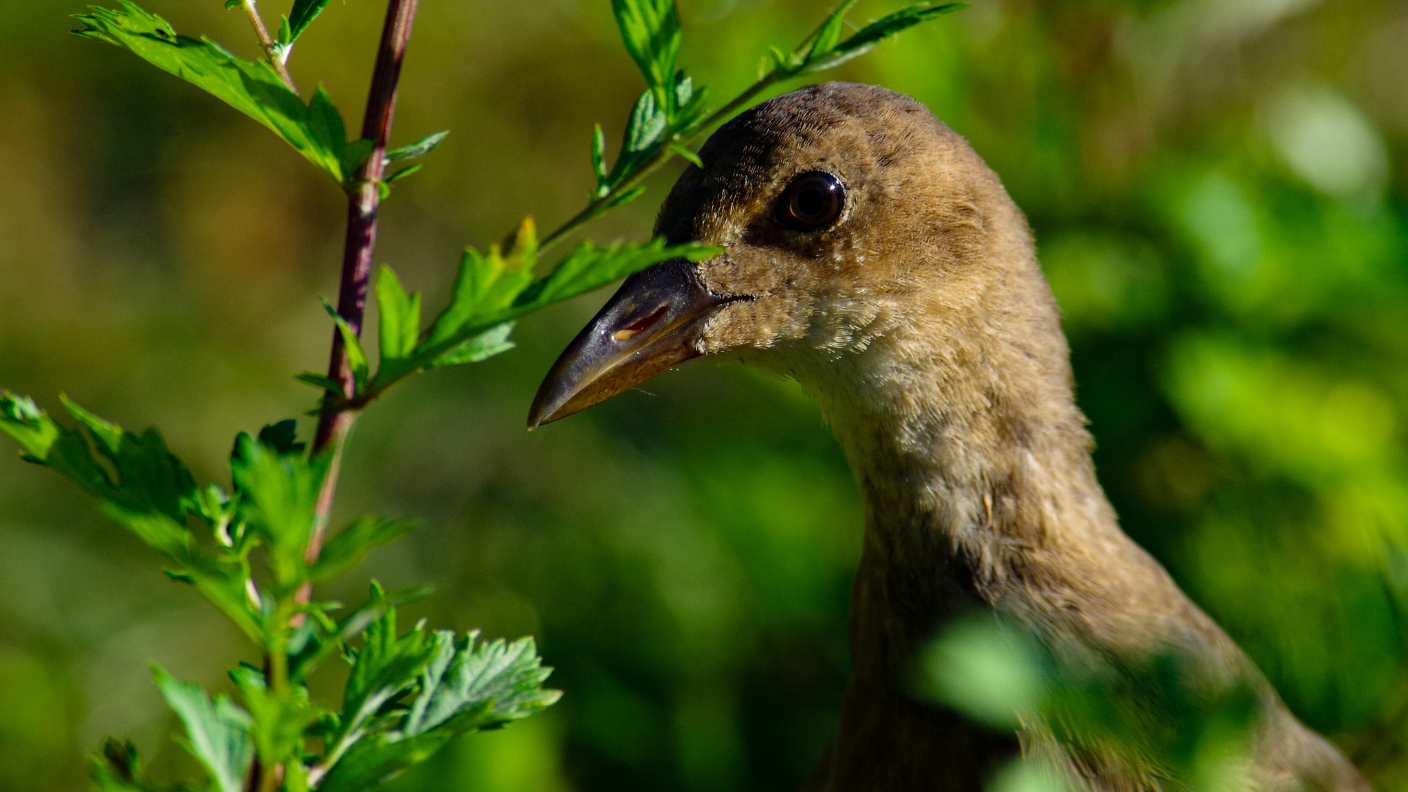 Pentax K-30 sample photo. I see you photography