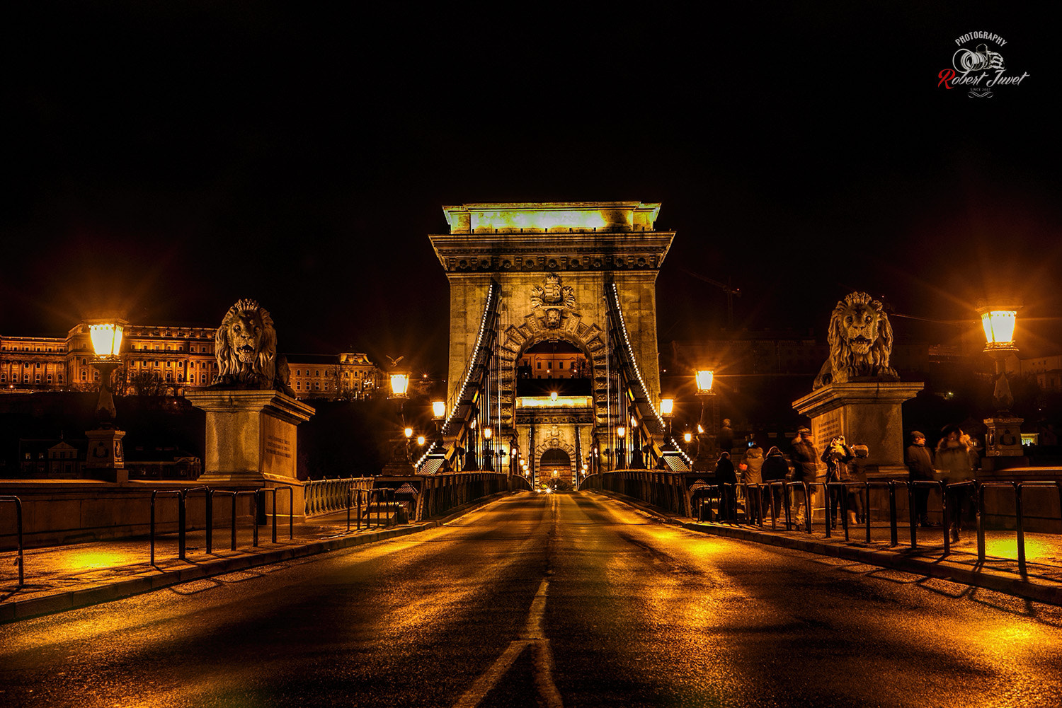 Nikon D810 sample photo. Kettenbrücke in budapest photography