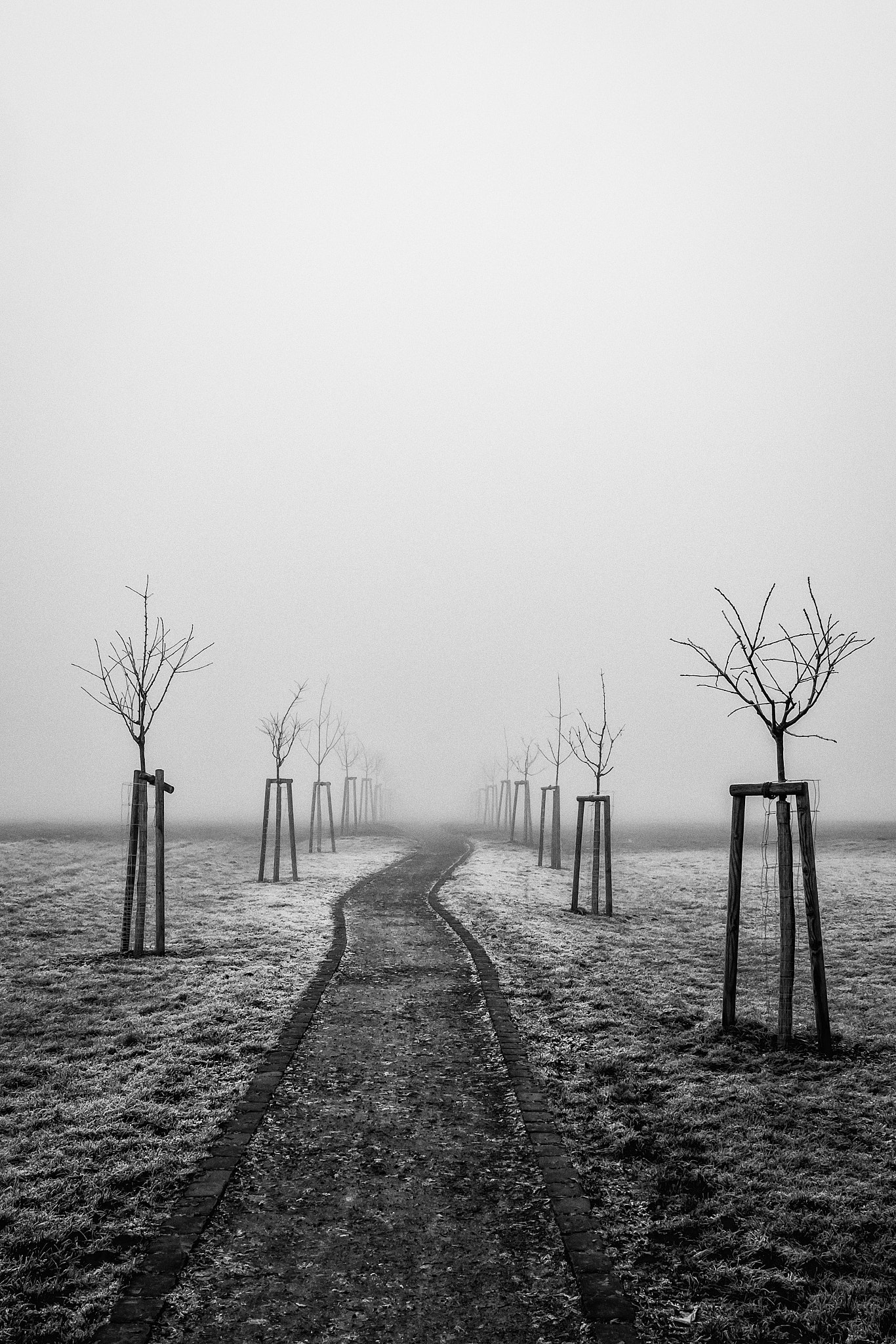 Fujifilm X-T2 + Fujifilm XC 16-50mm F3.5-5.6 OIS II sample photo. Cold day photography