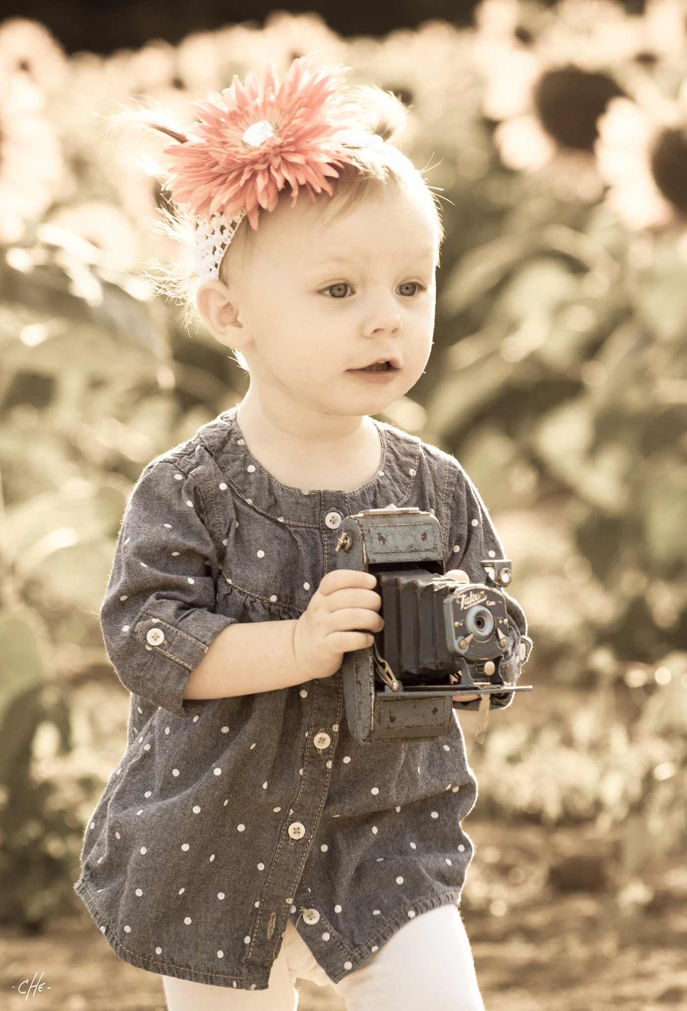 Canon EF 70-200mm F2.8L USM sample photo. 11886124826.jpg photography