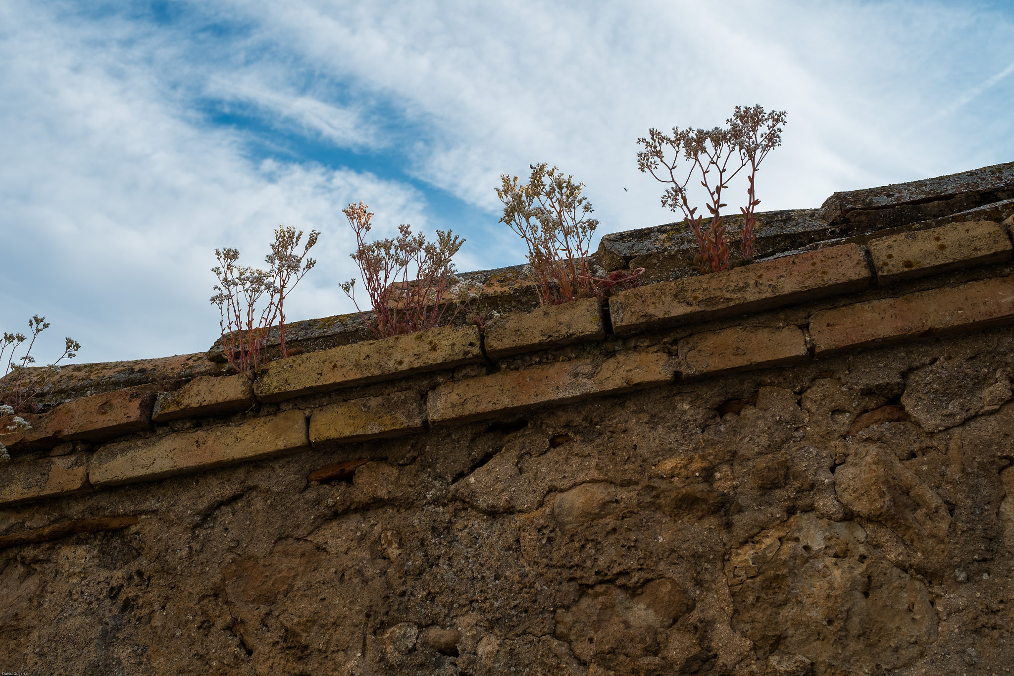 Fujifilm X-Pro1 + Fujifilm XF 23mm F1.4 R sample photo. Calles de lerma photography