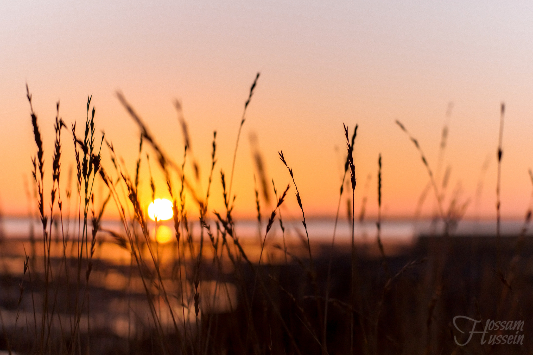 Sony SLT-A65 (SLT-A65V) + Minolta AF 50mm F1.4 [New] sample photo. Sunset photography