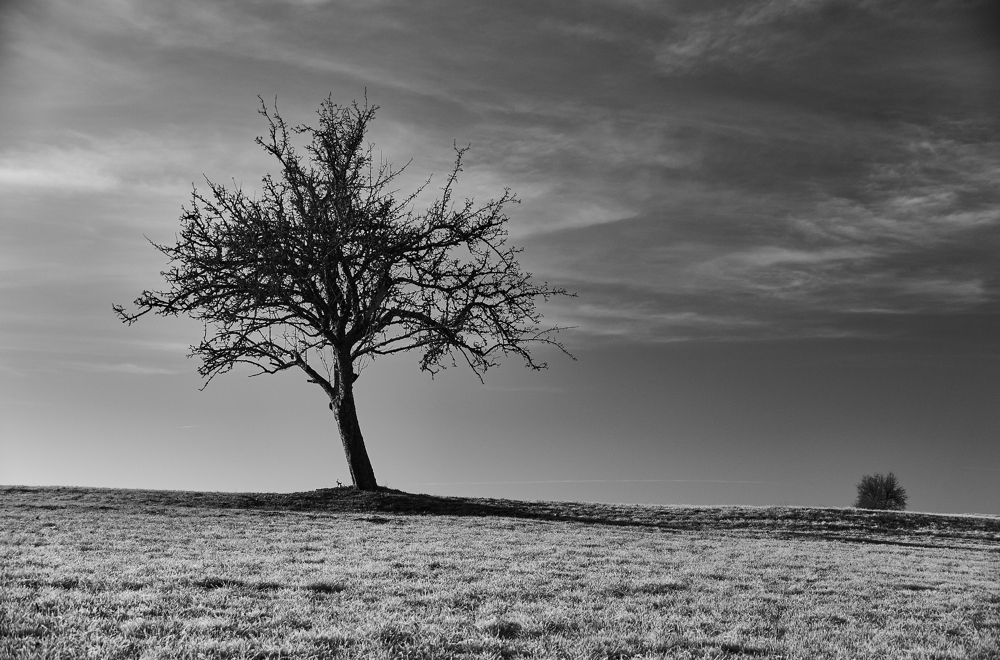 Sony SLT-A37 sample photo. Untitled photography