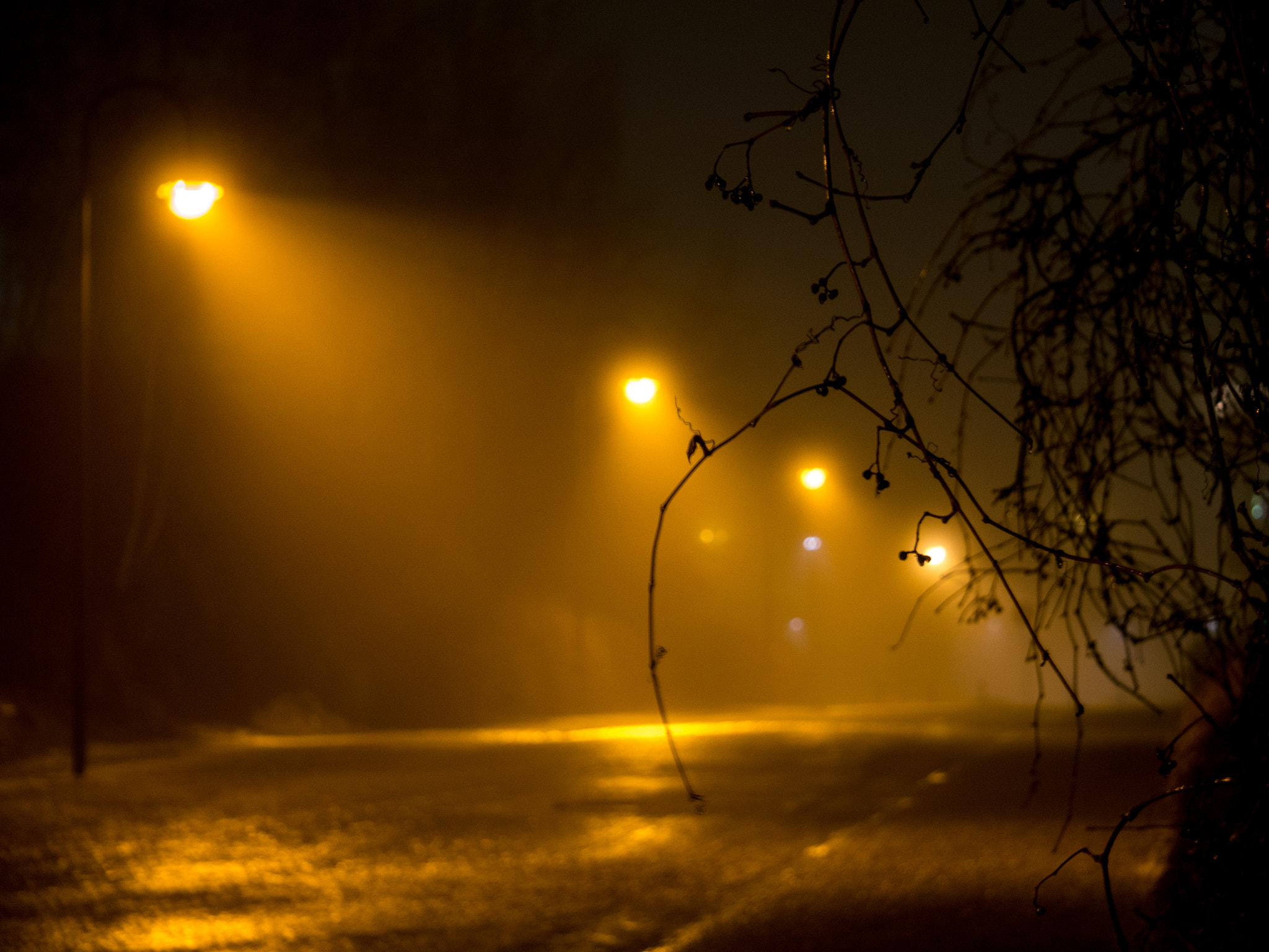 Sony Alpha NEX-6 + Sony E 55-210mm F4.5-6.3 OSS sample photo. 203/365: foggy night, again photography