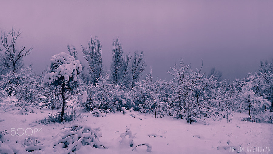 HTC ONE GOOGLE PLAY EDITION sample photo. Winter photography