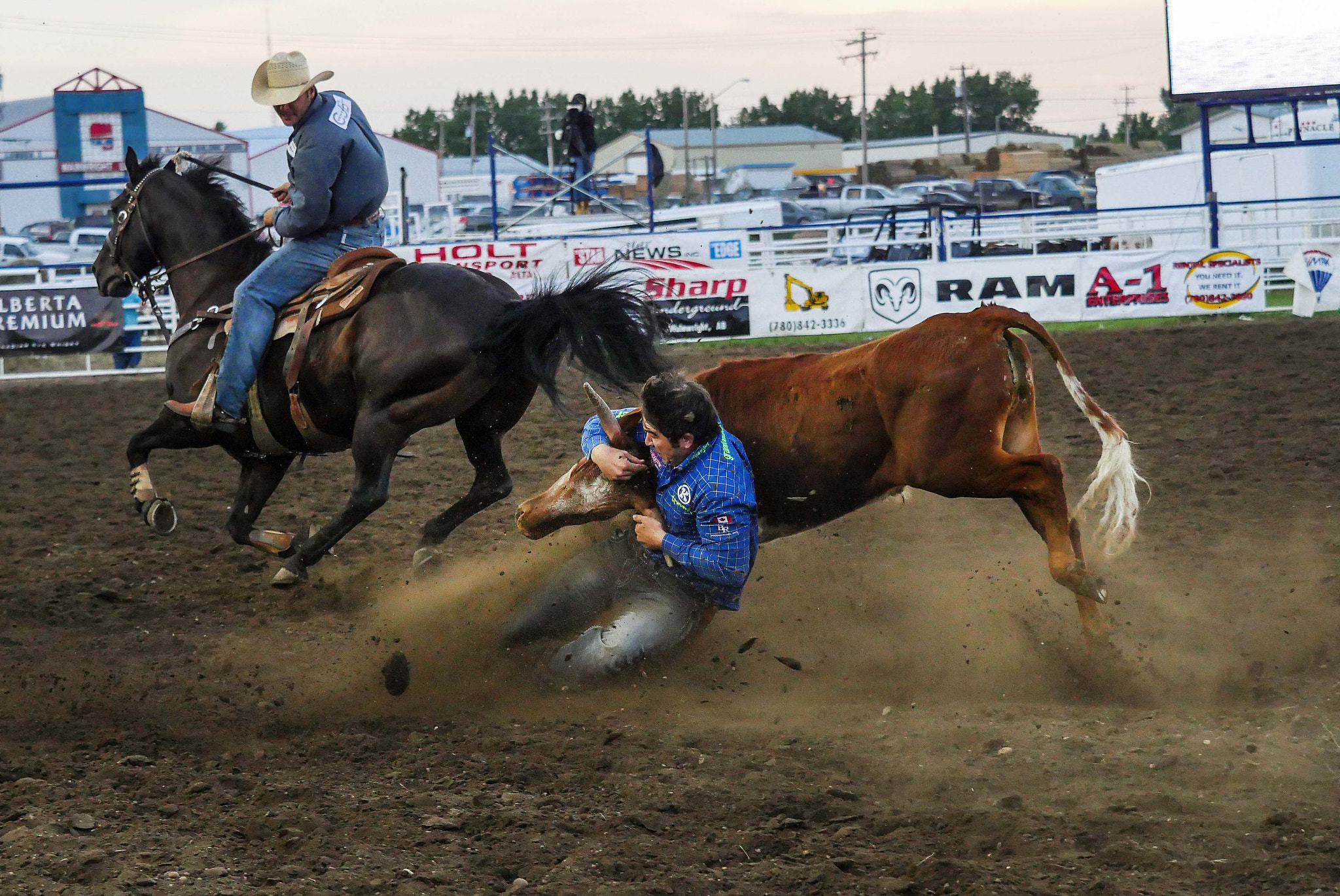 Panasonic Lumix DMC-GX8 + Olympus M.Zuiko Digital ED 40-150mm F2.8 Pro sample photo. Steer wrestling photography