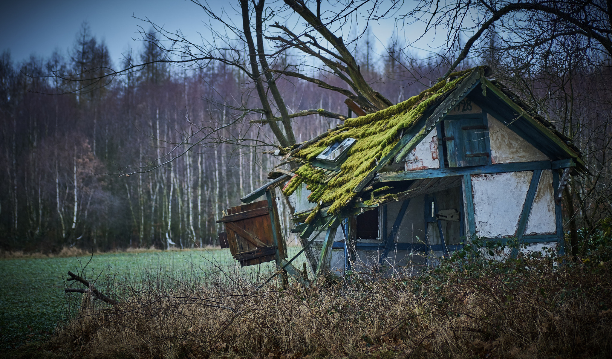 Sony ILCA-77M2 + Tamron SP AF 90mm F2.8 Di Macro sample photo. Vergehende hütte / disappearing hut photography
