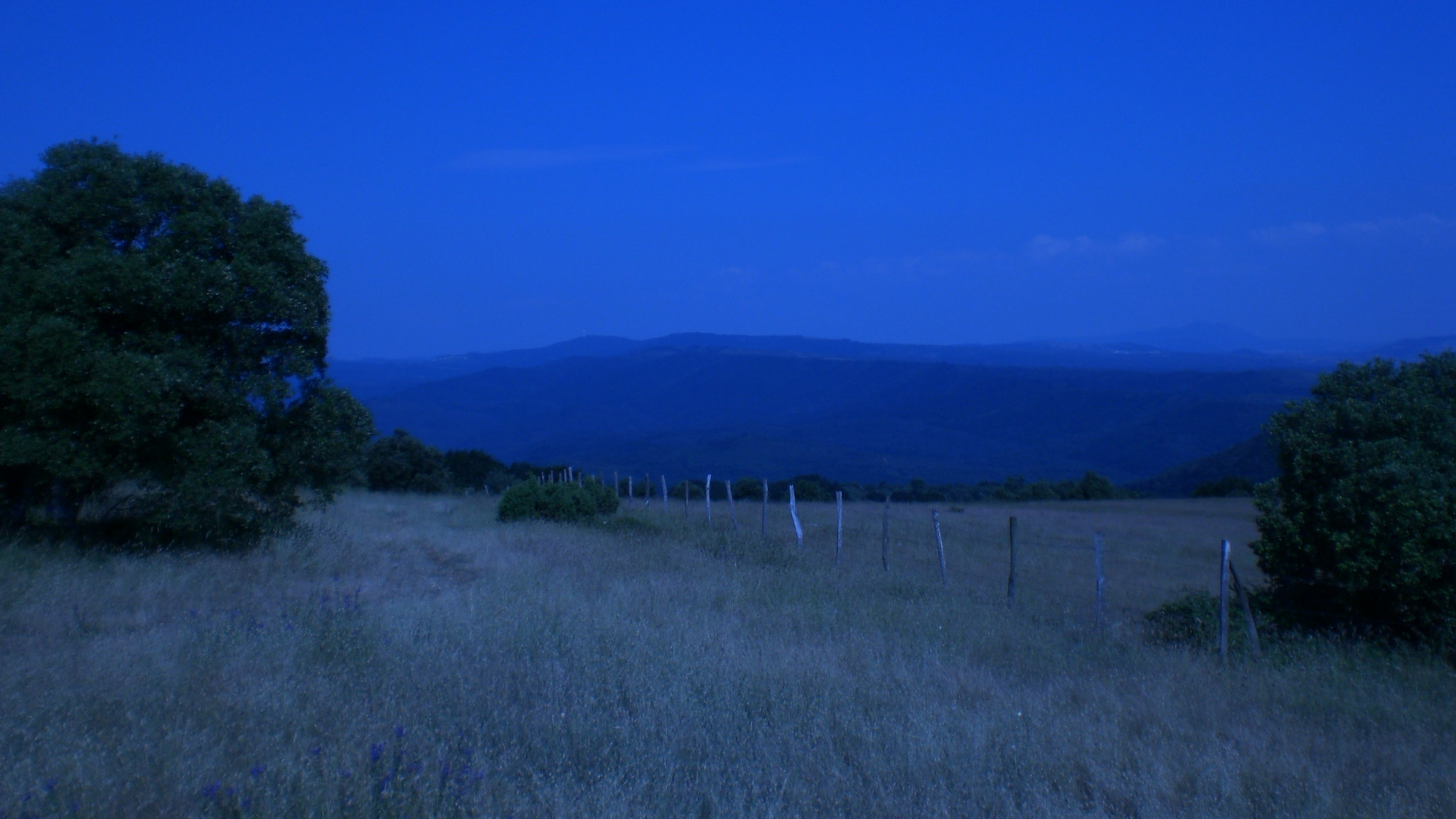 CASIO EX-Z75 sample photo. Cimg photography
