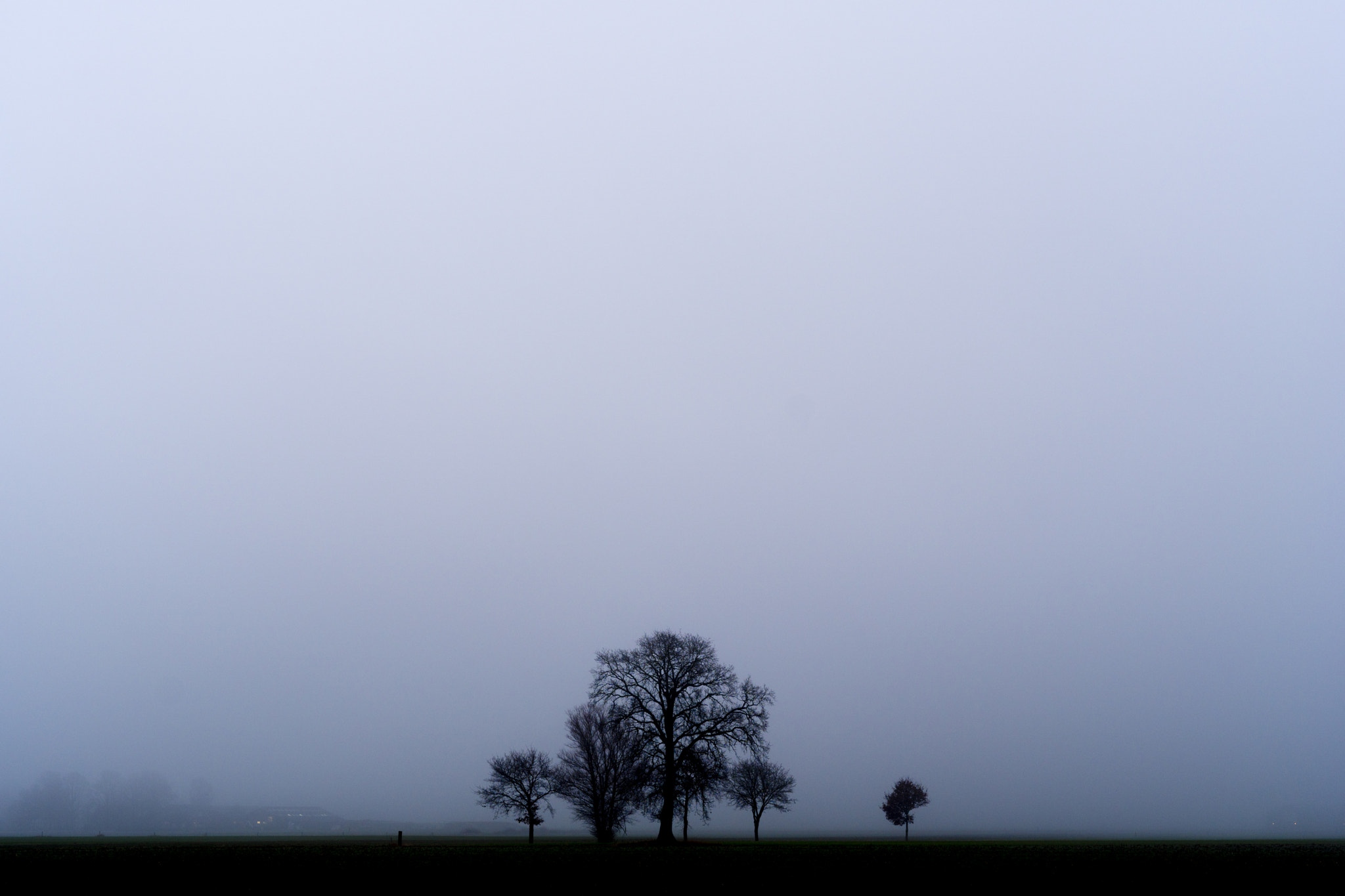 Sony a6300 + Sony Sonnar T* FE 55mm F1.8 ZA sample photo. Group of trees 1 of 2, notter, the netherlands photography