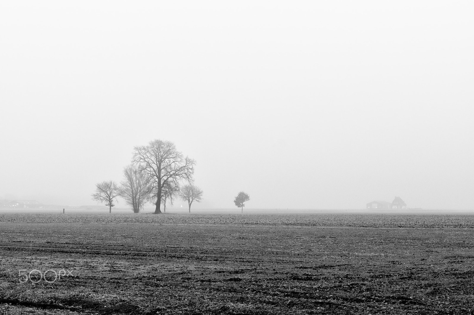 Sony a6300 + Sony Sonnar T* FE 55mm F1.8 ZA sample photo. Group of trees 2 of 2, notter, the netherlands photography