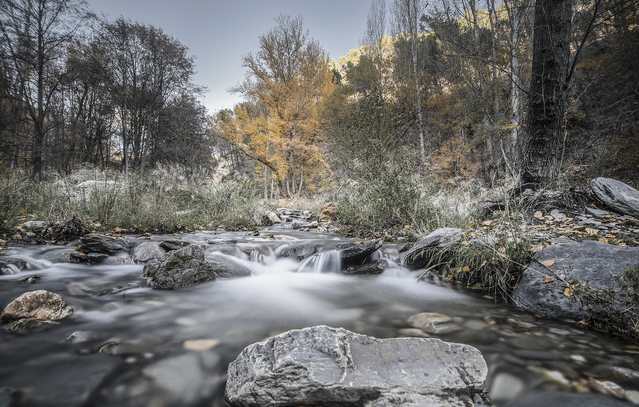 Sony a7S + Sony DT 50mm F1.8 SAM sample photo. El cauce del rio photography